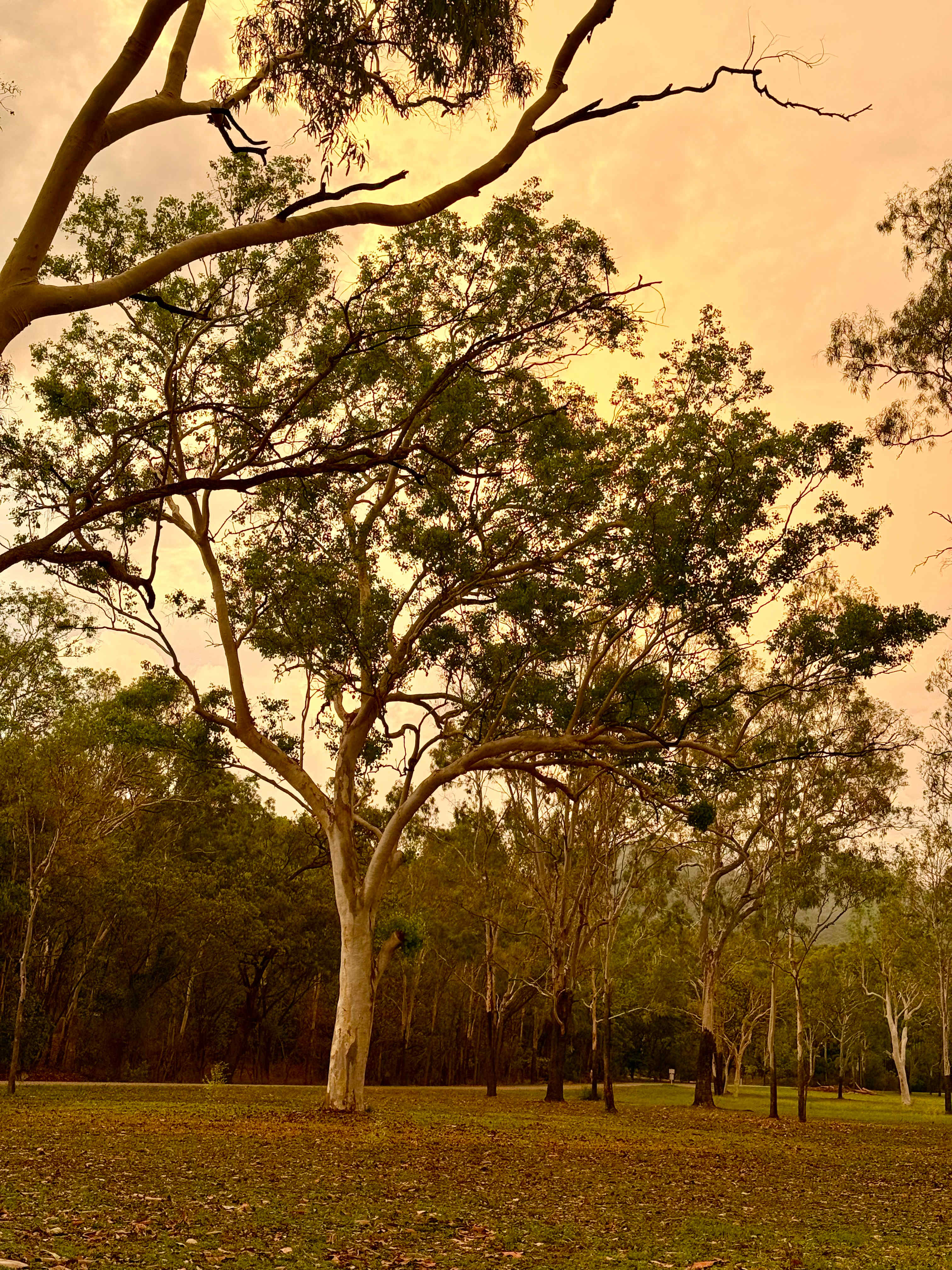 Mount Surround Campground