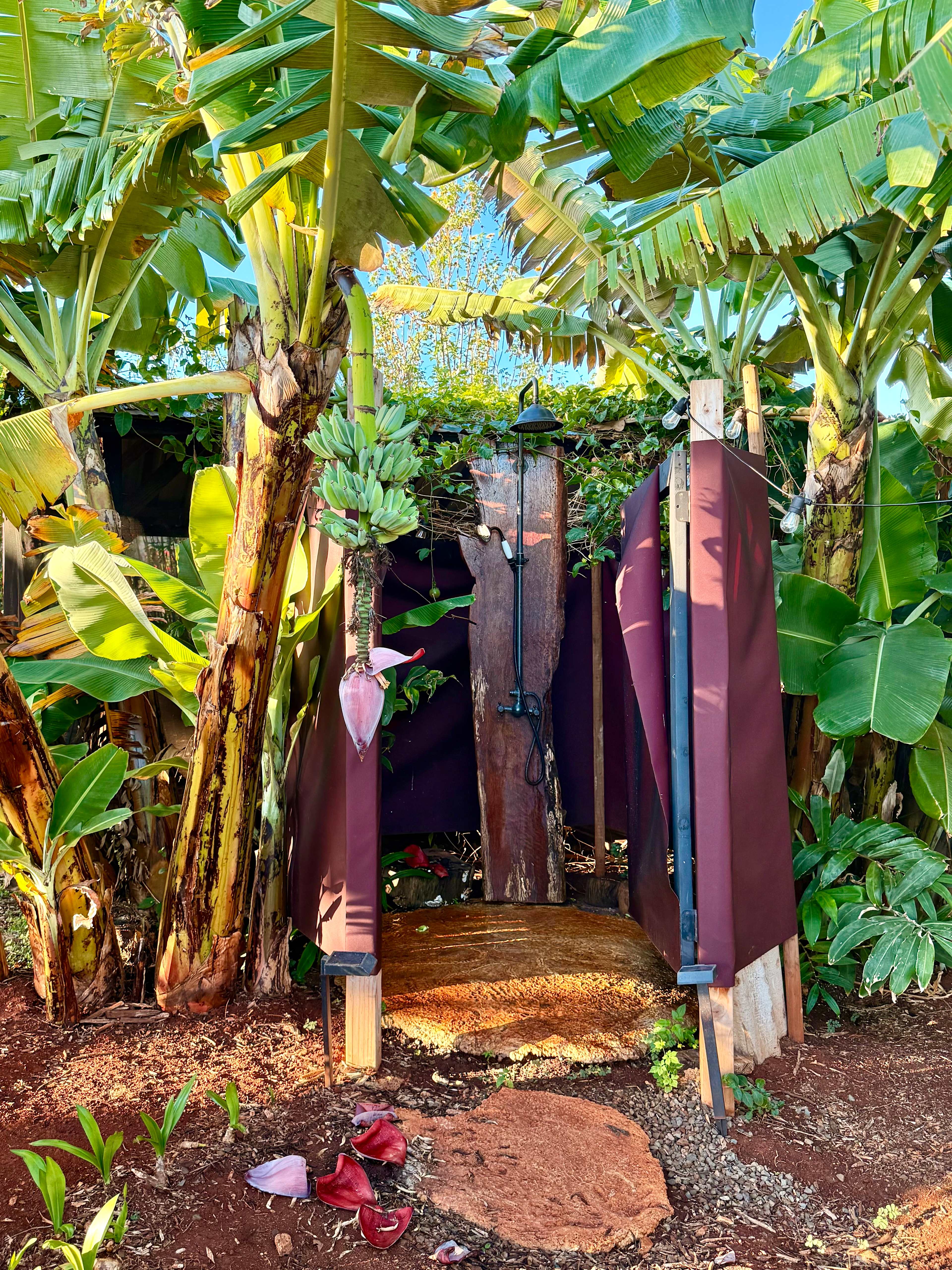 Living Circle Farms Hawaii