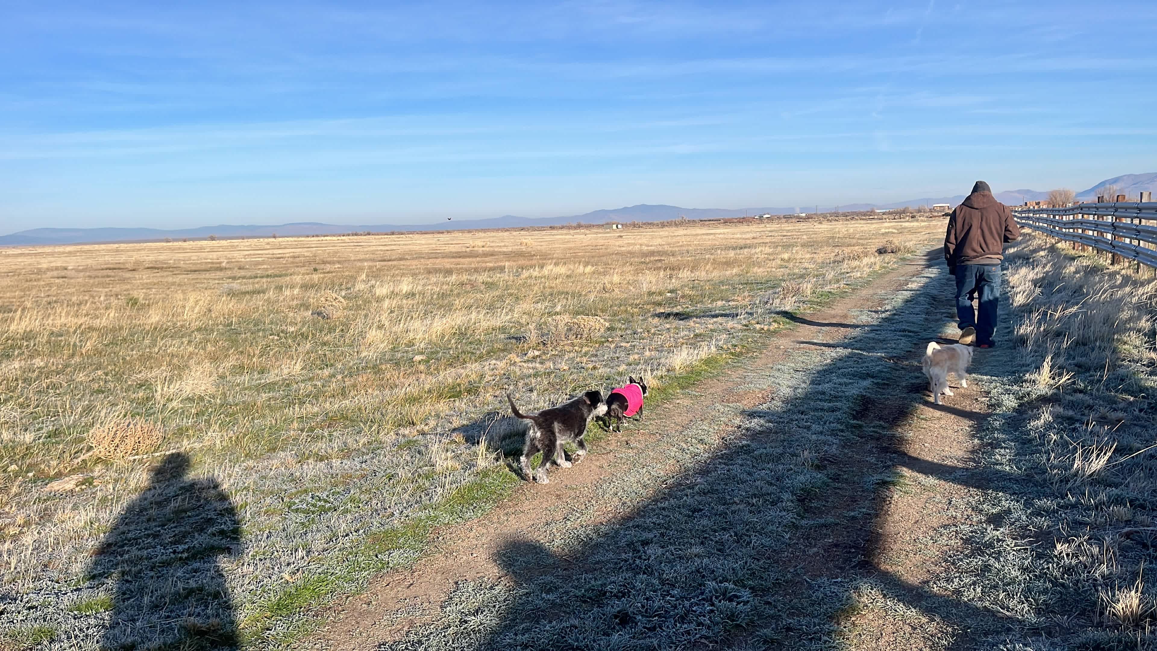 On a morning walk through the property.