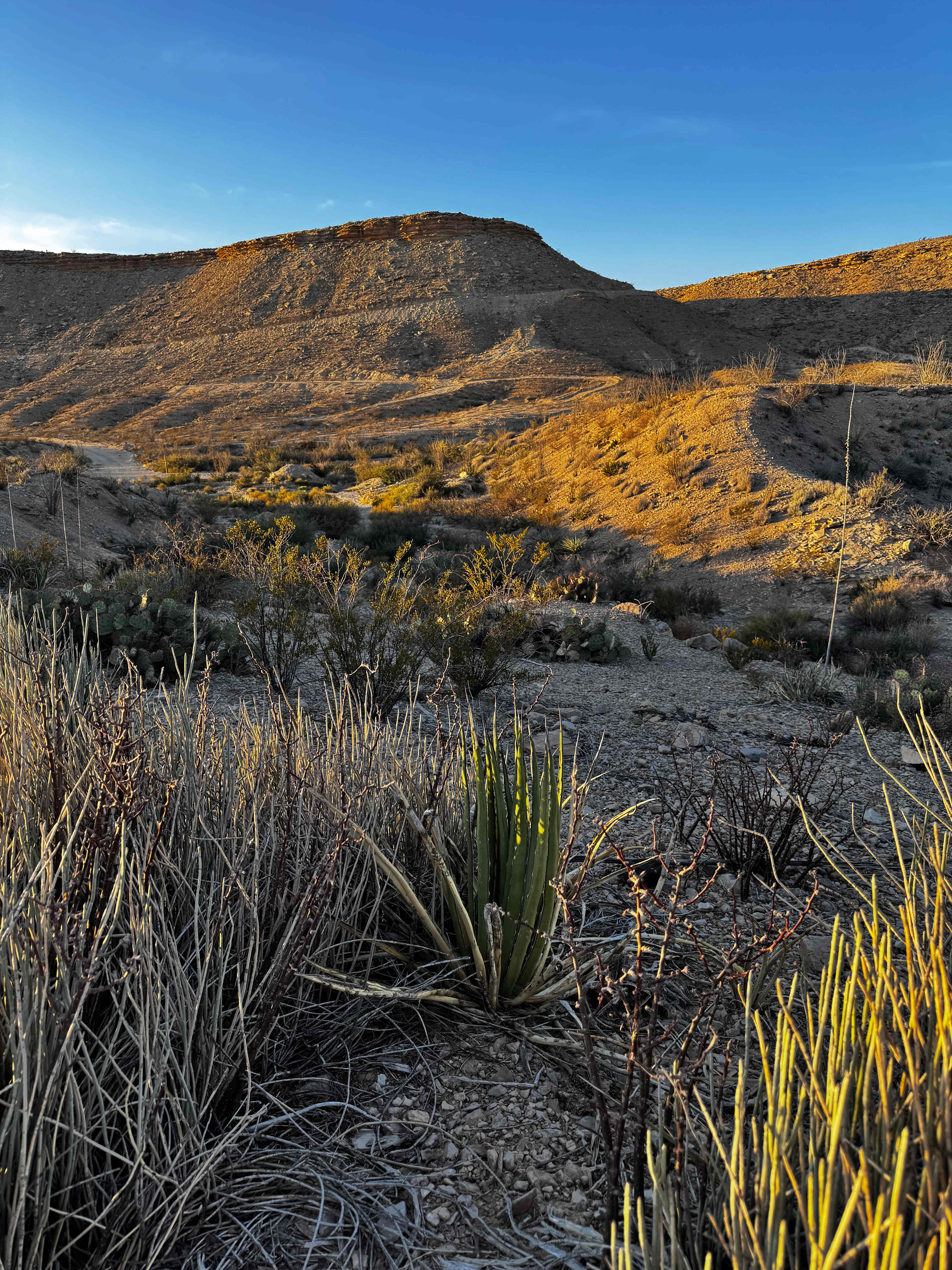 The Bus Stop Campground