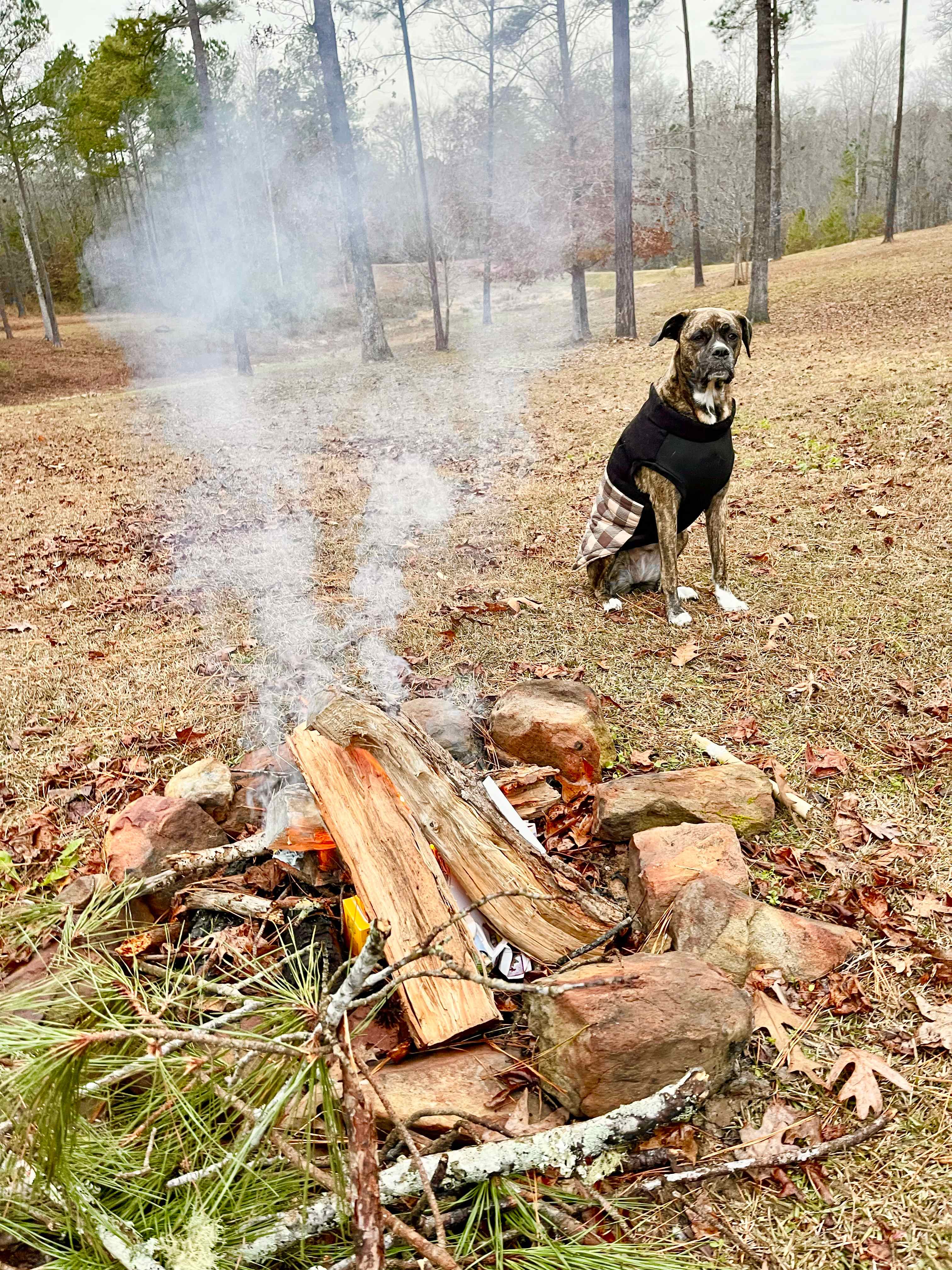 Argo’s Park & Trails