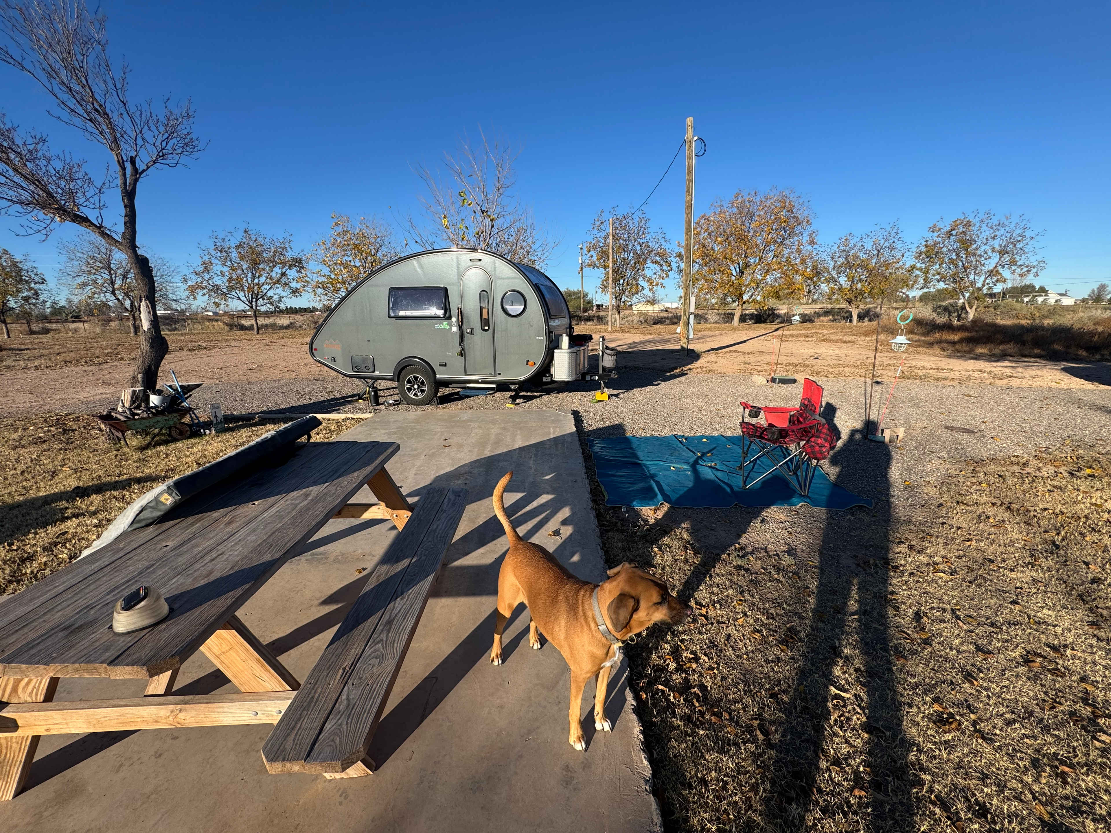 Desert Rose Stopover