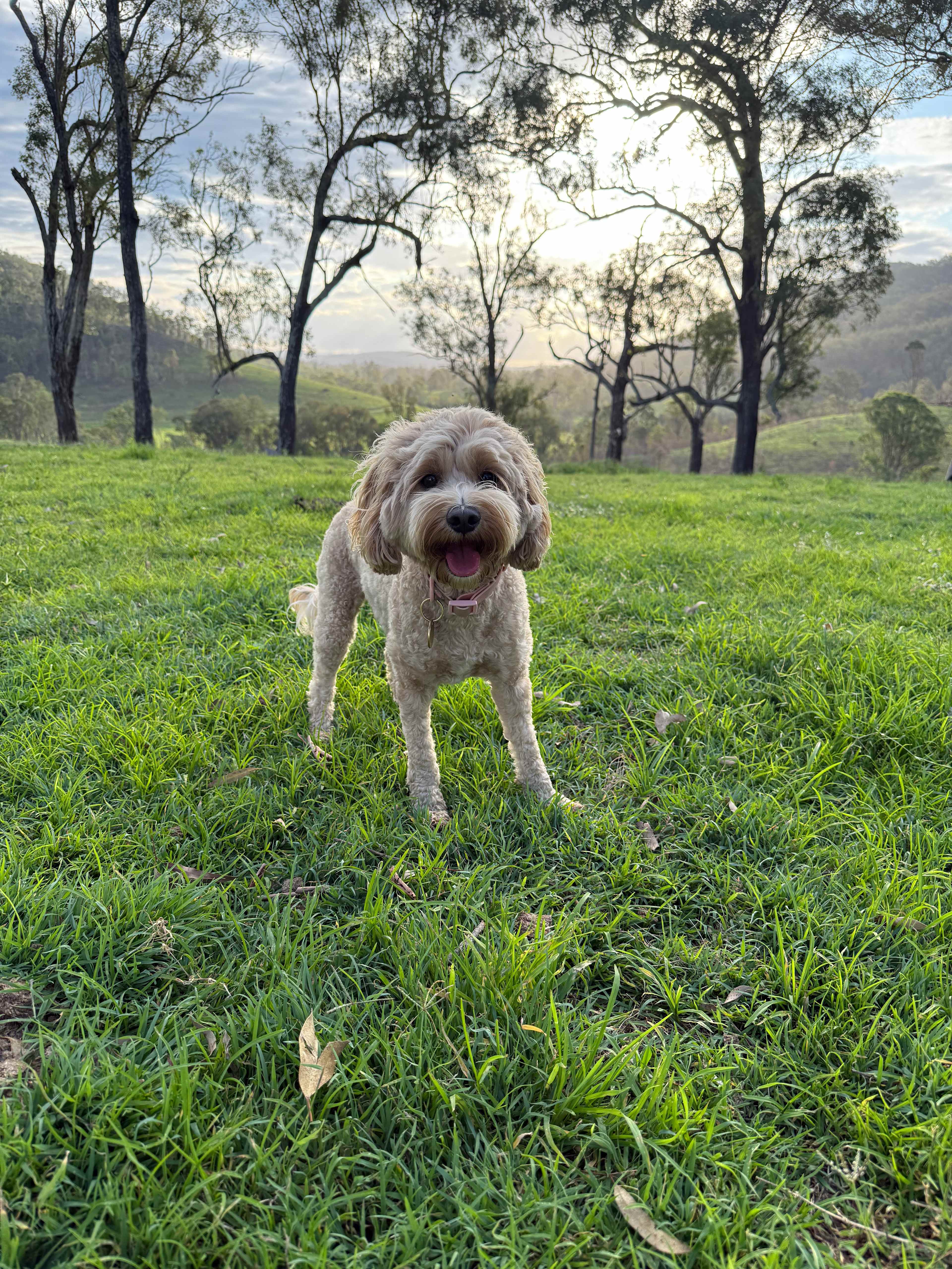 Juburra Country Camping