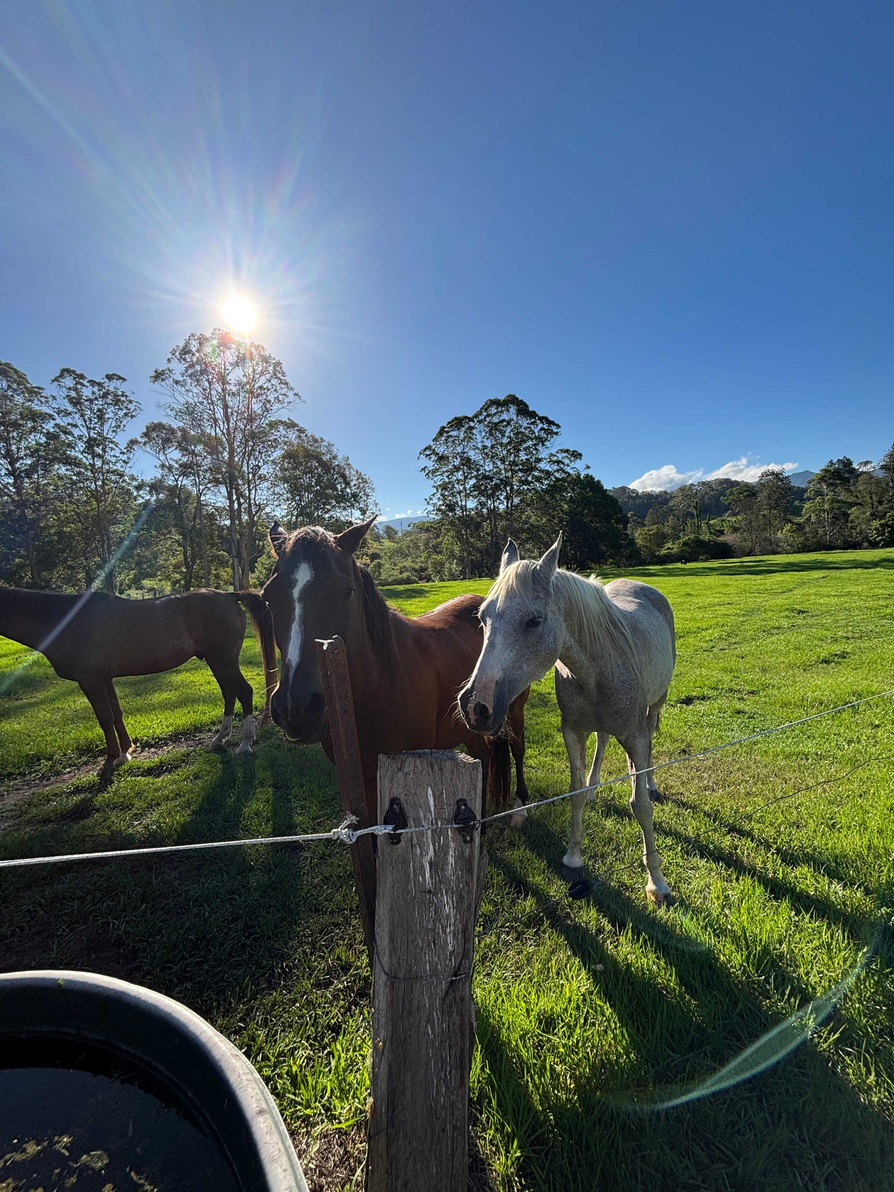 Gabrielle's Sacred Retreat