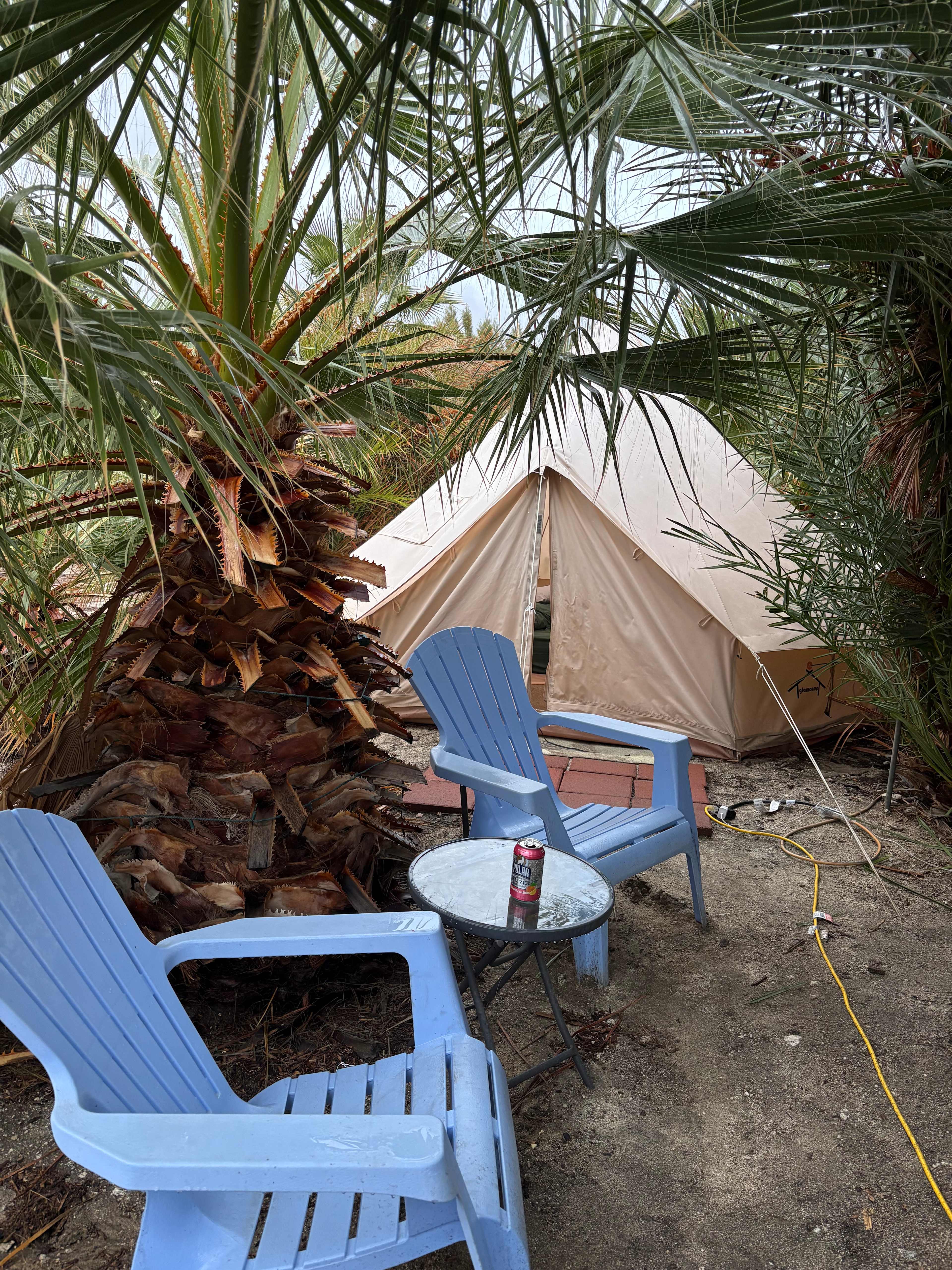 Mineral Spring Date Farm