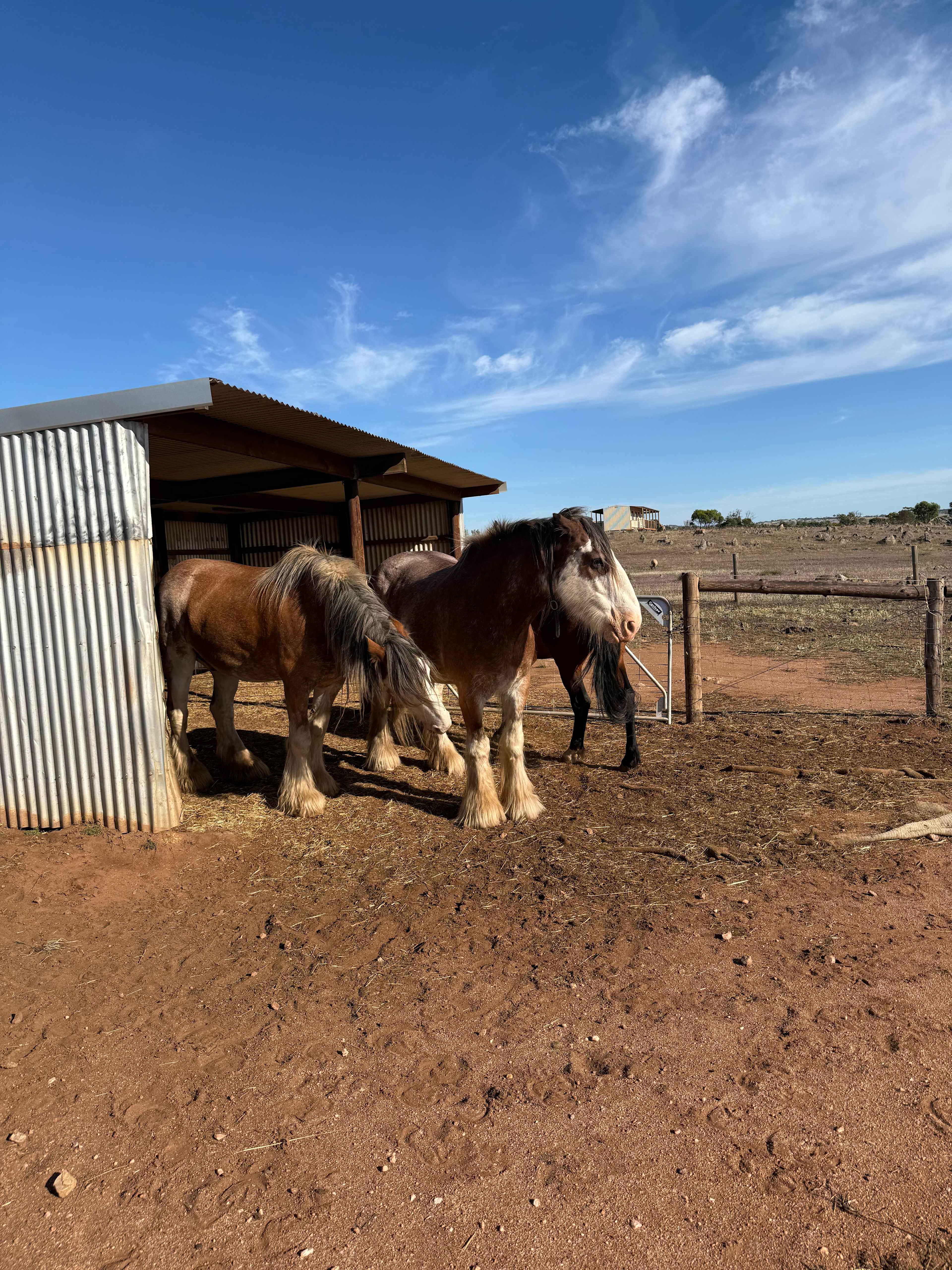 Harry’s Rockleigh Bush Camp