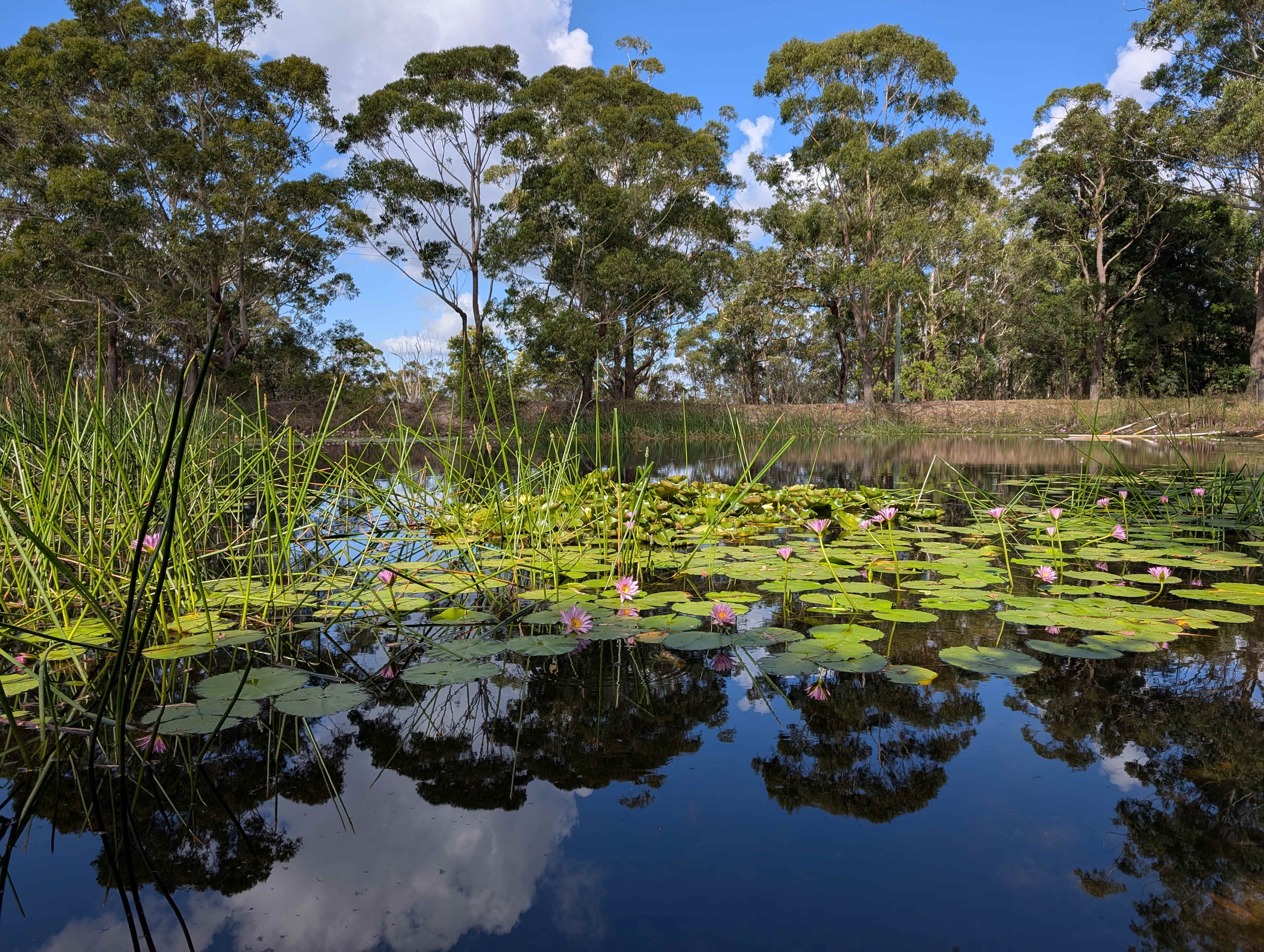 Canoelands Orchard Camping