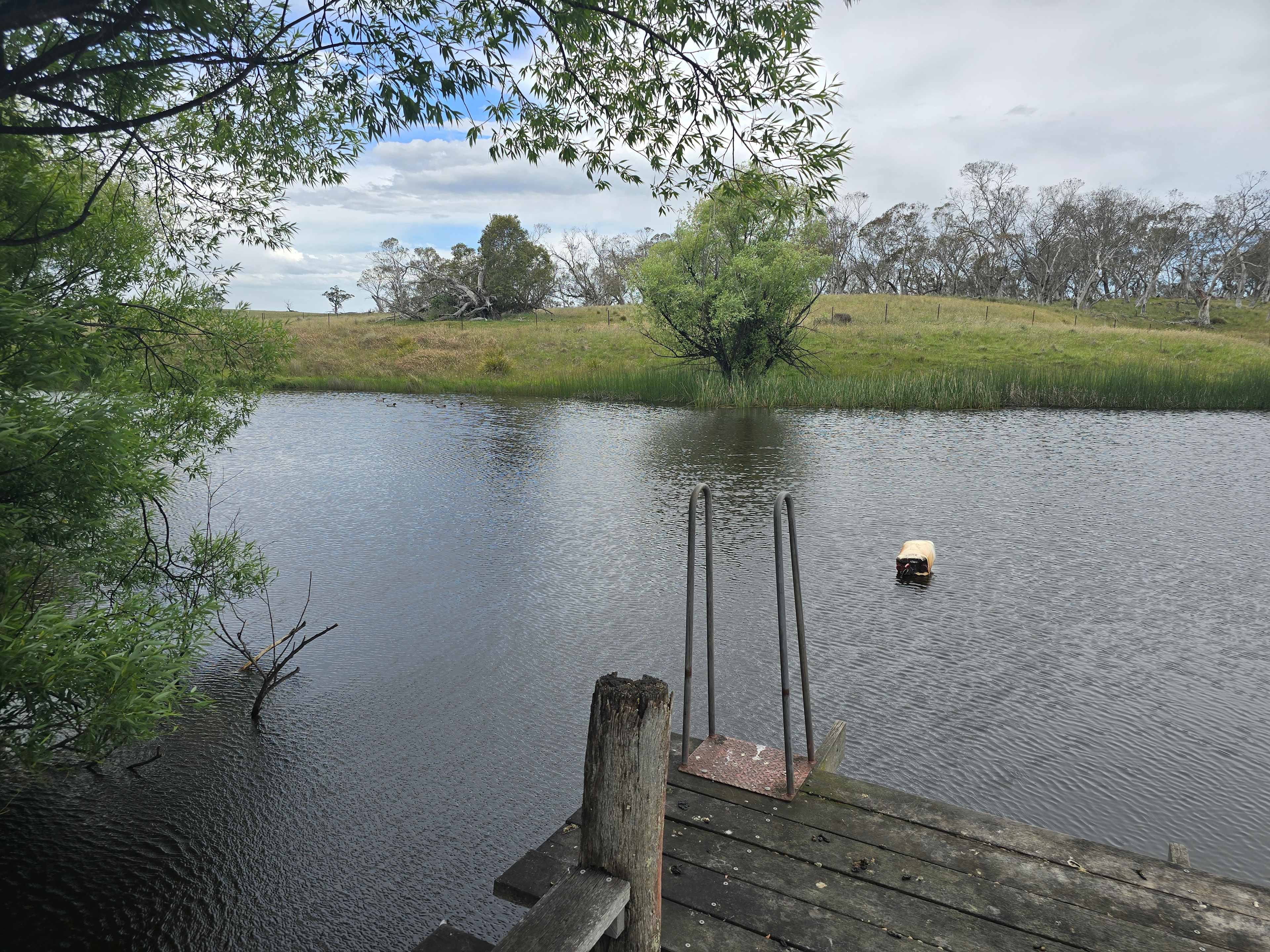 Picture of the site