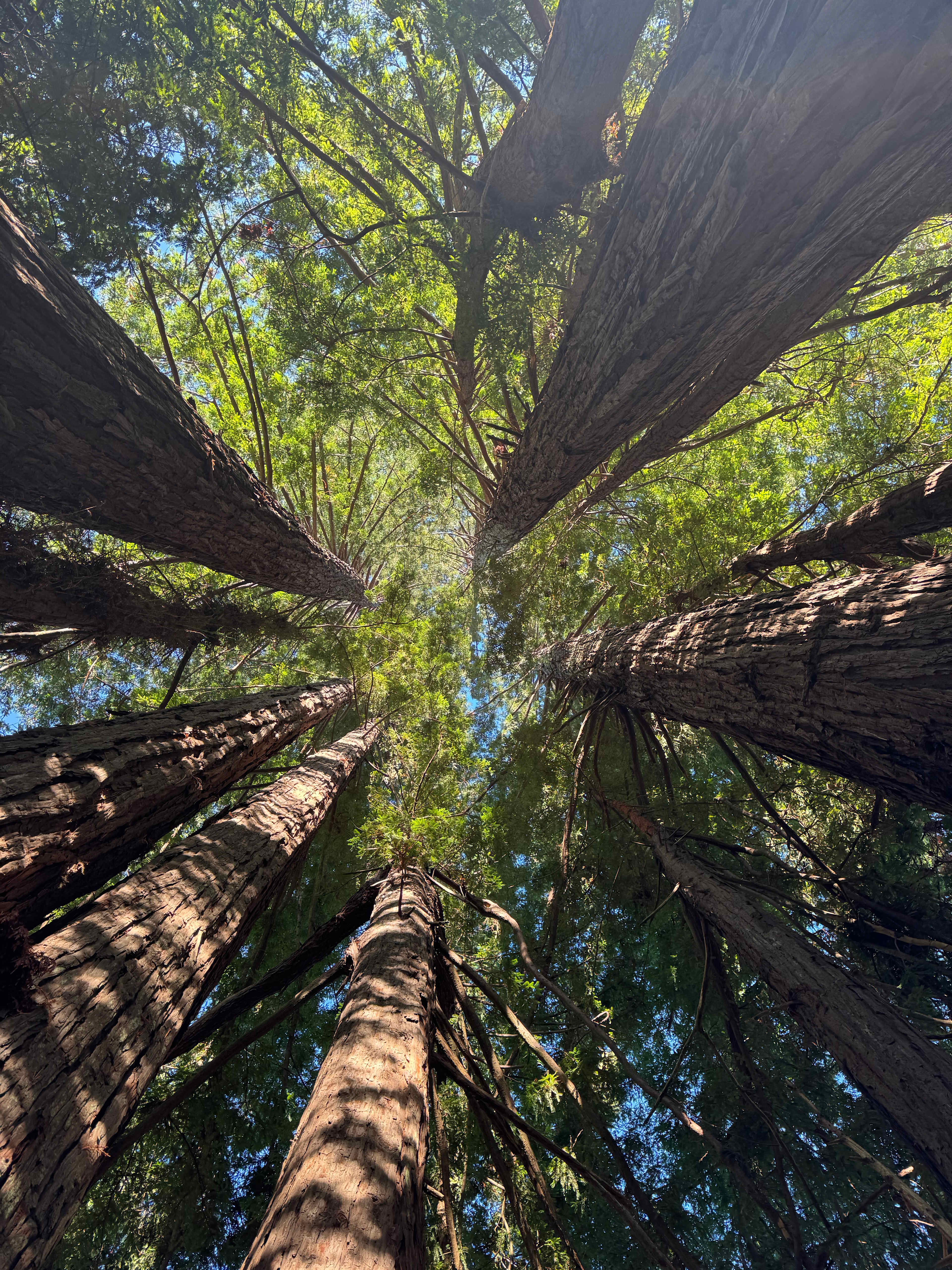 Magestic meditation spot 