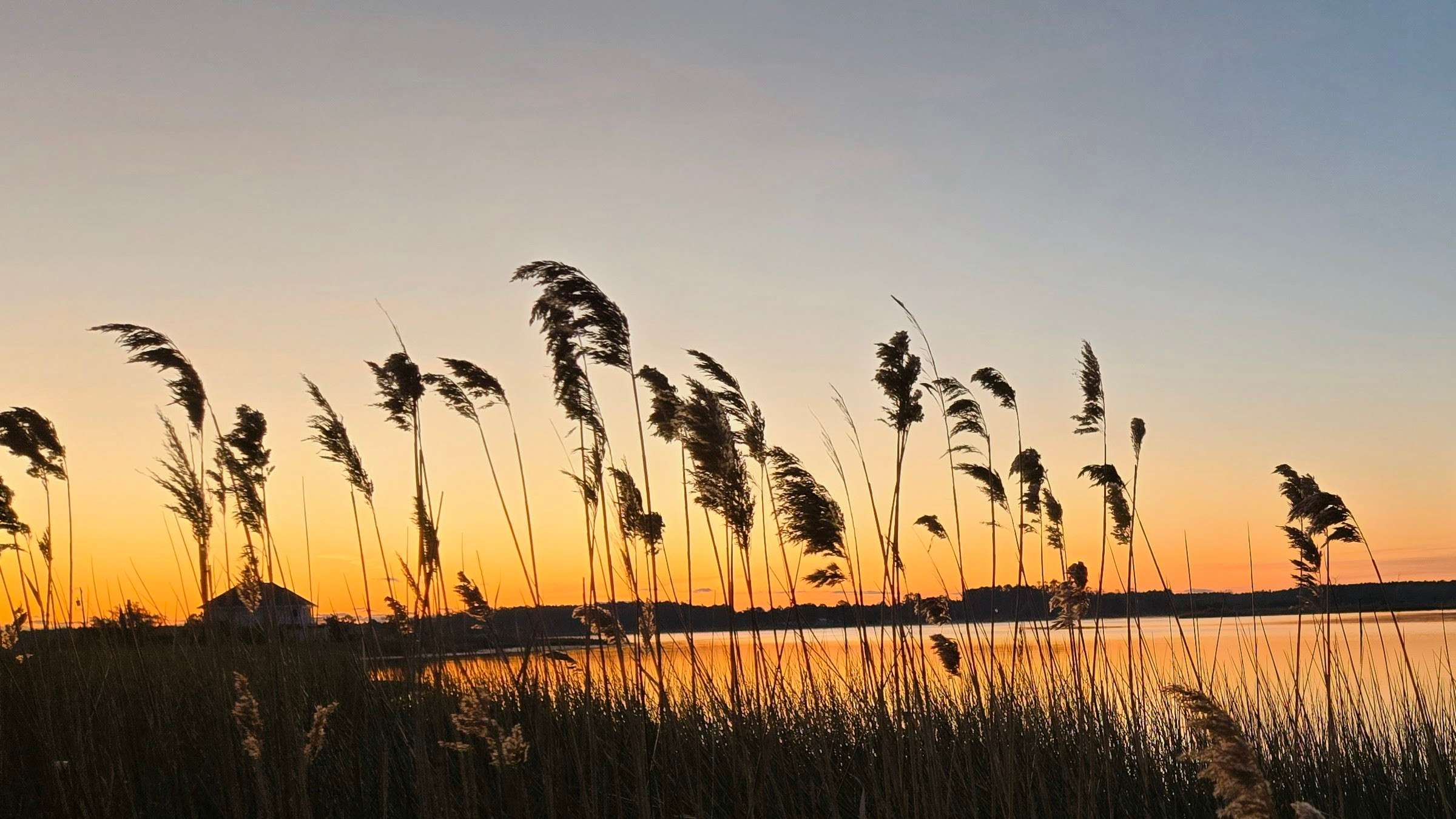 The Oysterhouse Landing
