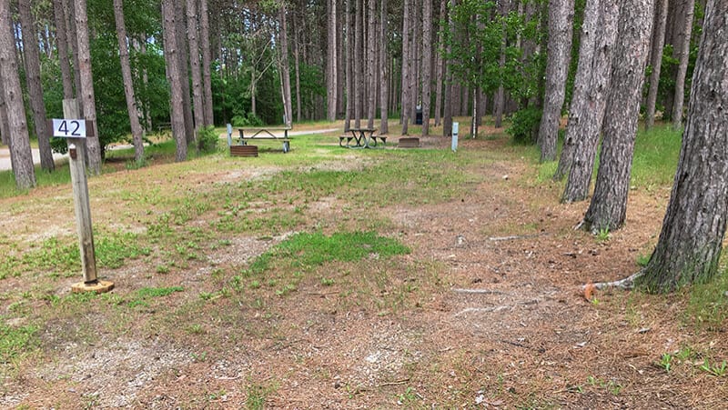 Picture of the site