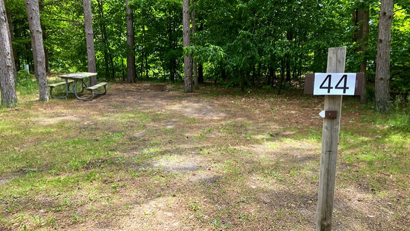 Picture of the site