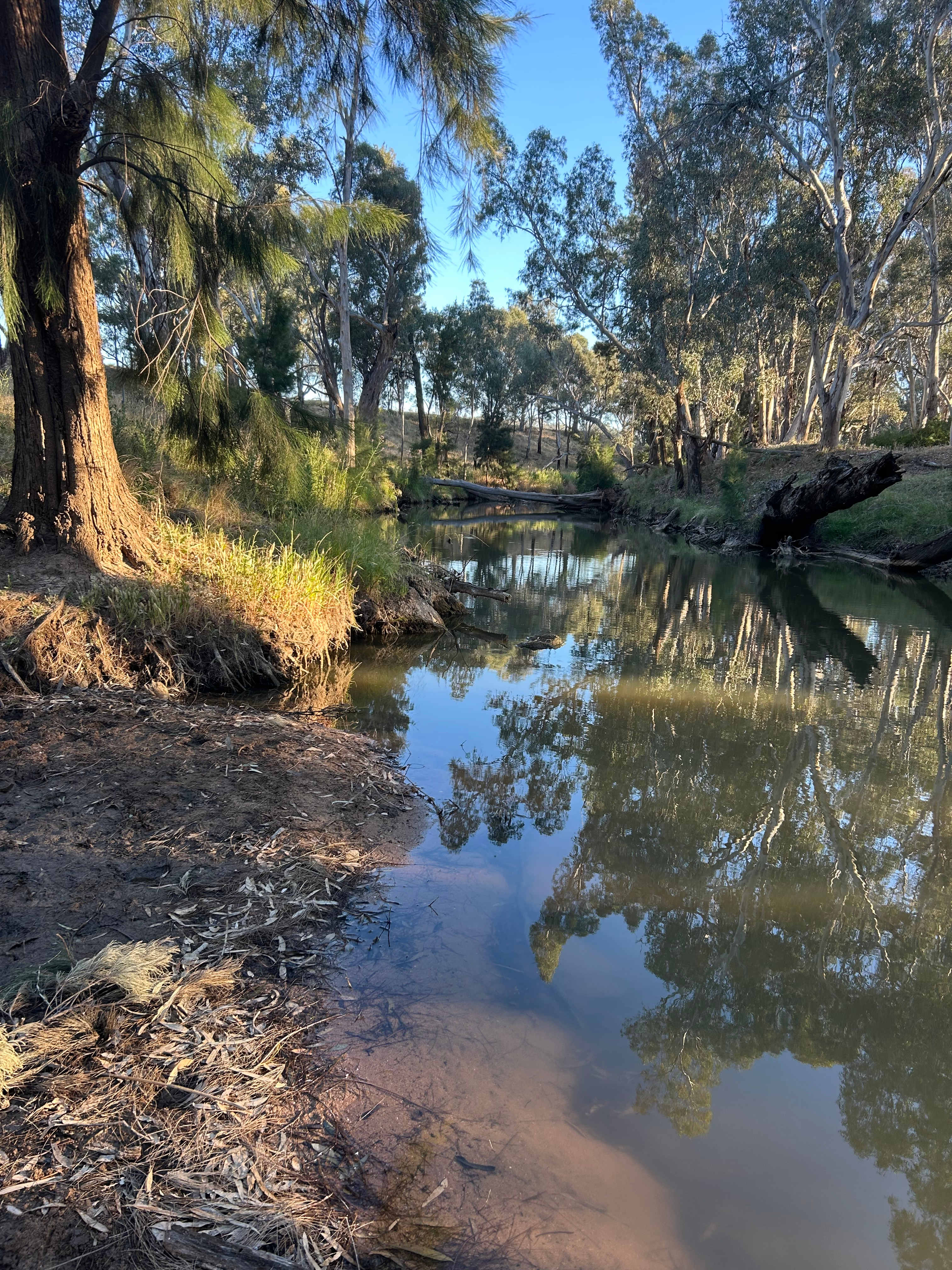 Cadagi Farm Stay in Central West NSW