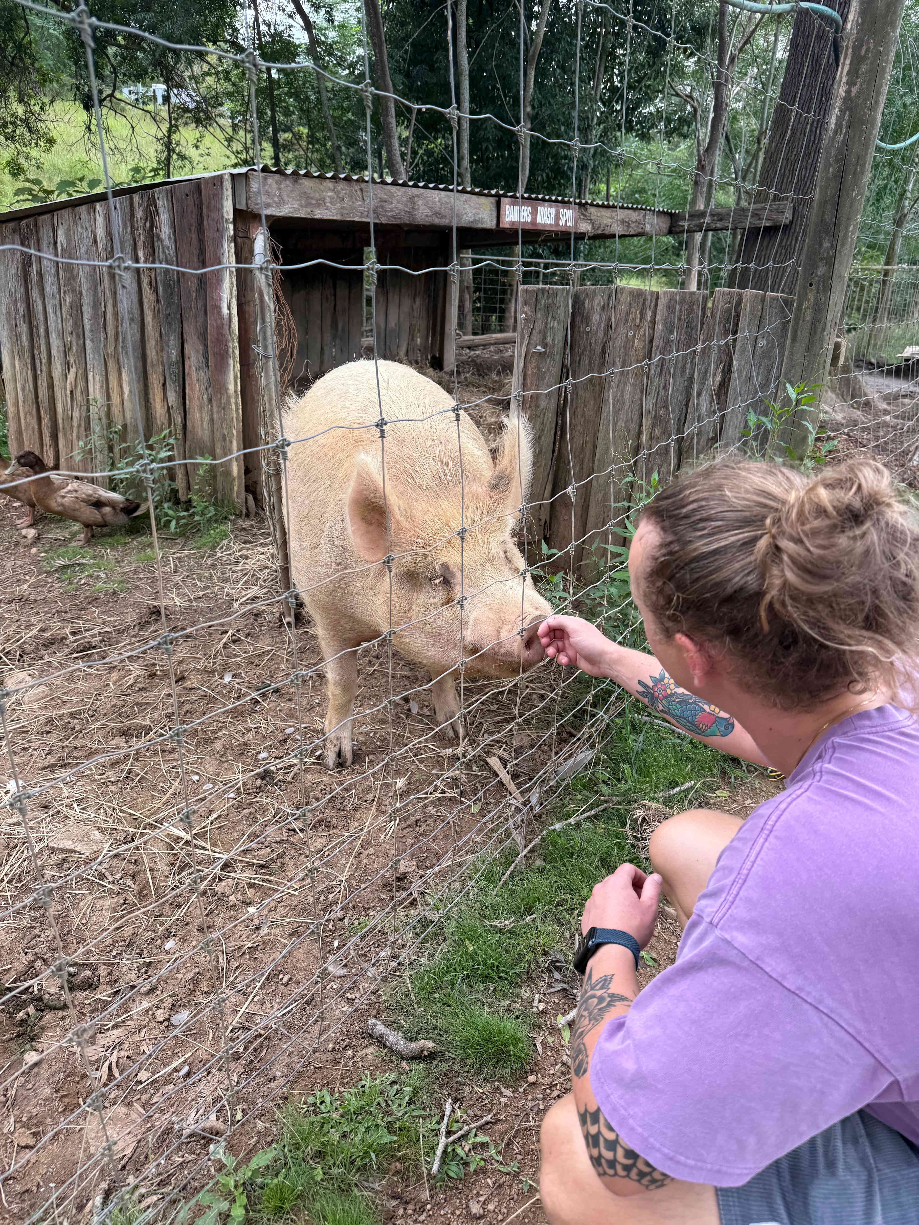 Kookaburra Park Animal Sanctuary