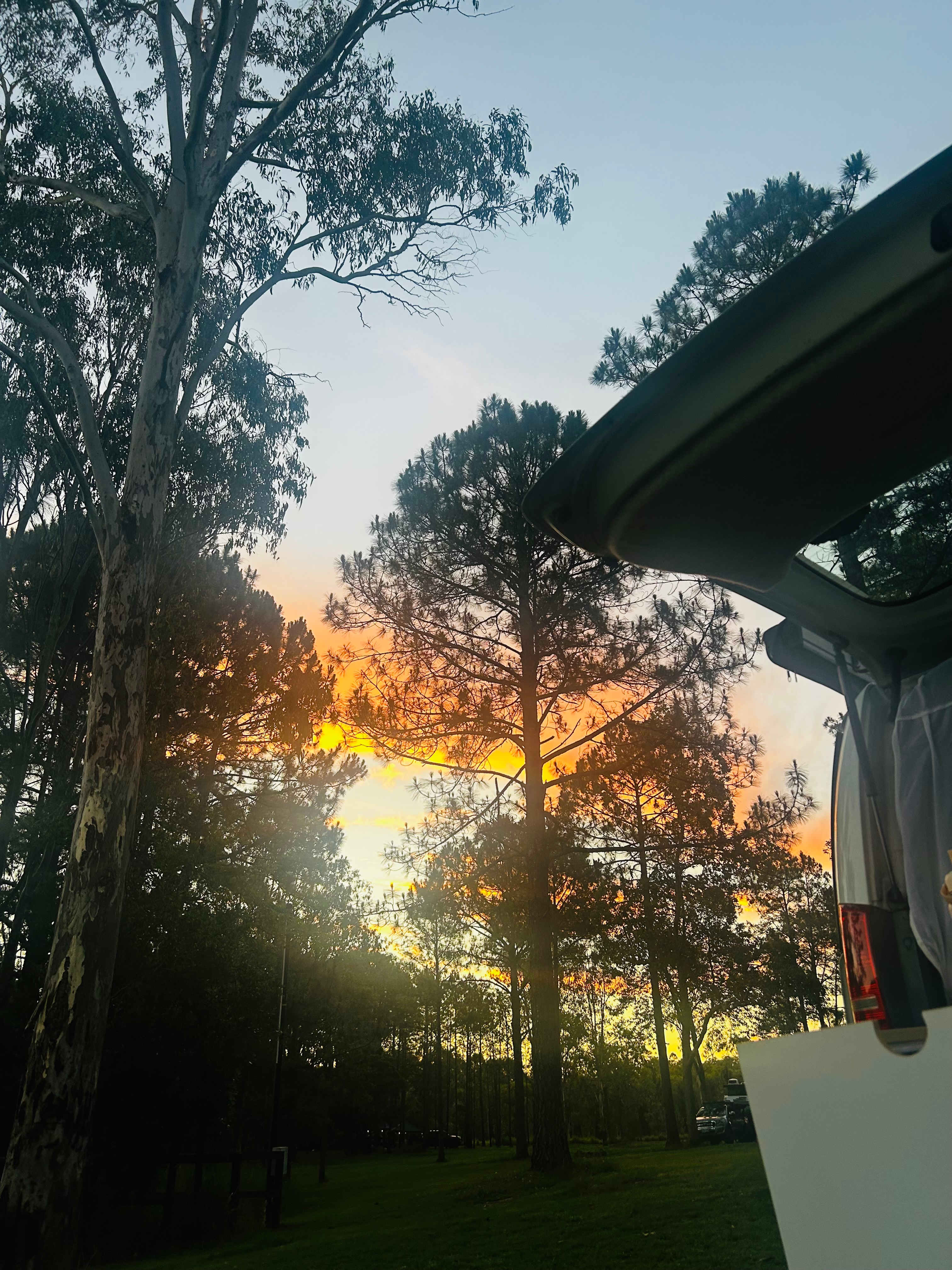 Bushywood at Woodfordskilake