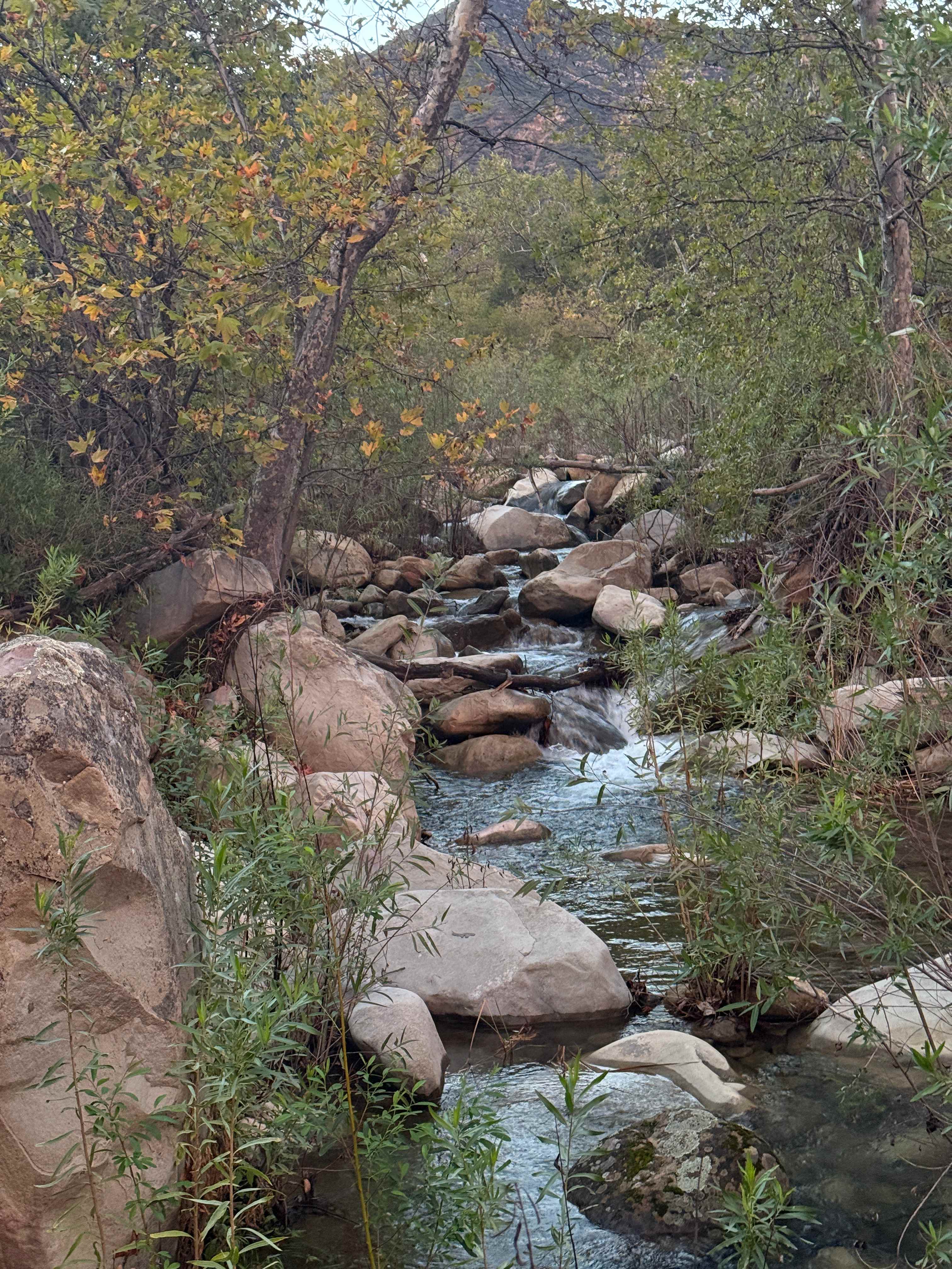 Rancho Los Encinos in Ojai CA