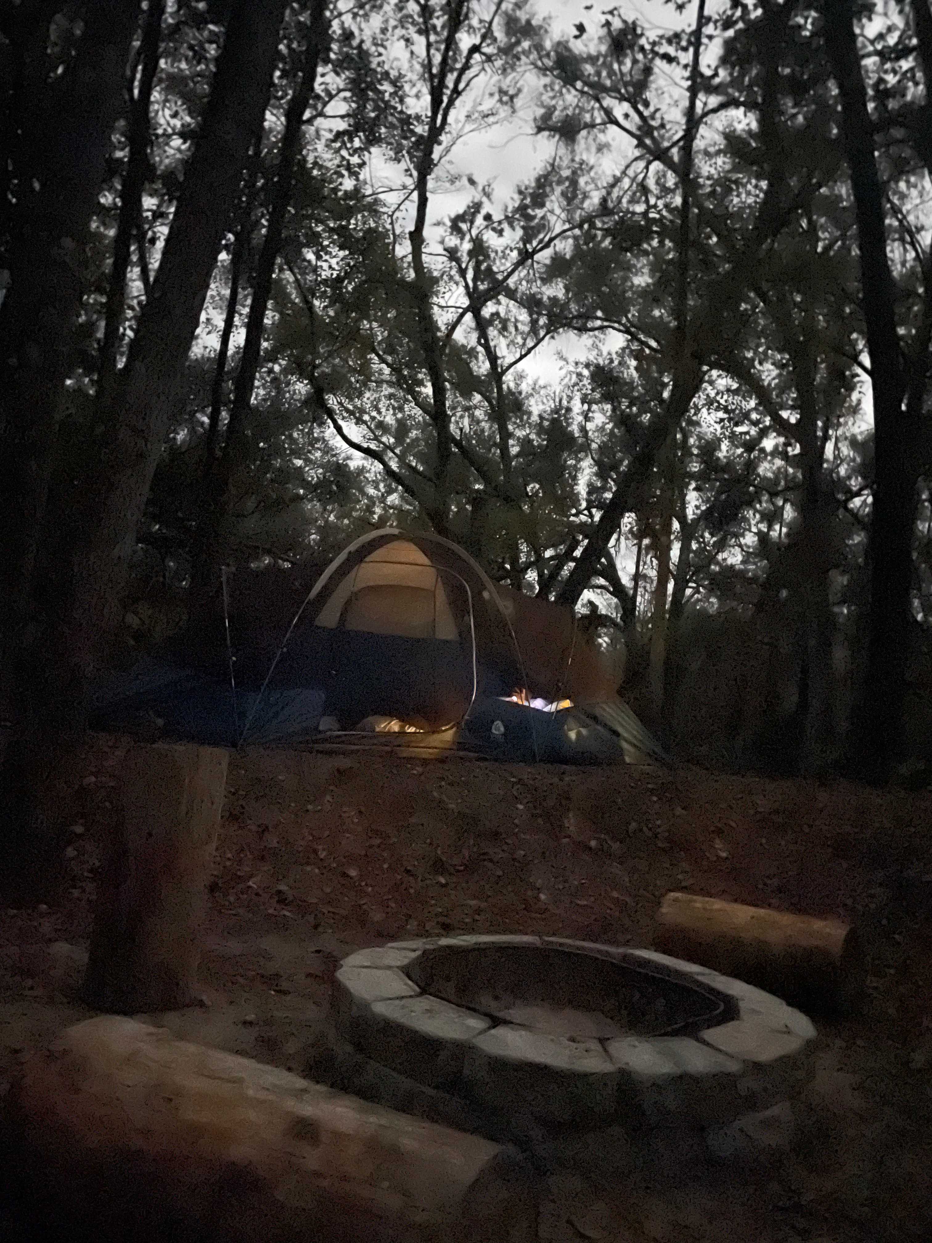 Cabin At Little River Springs