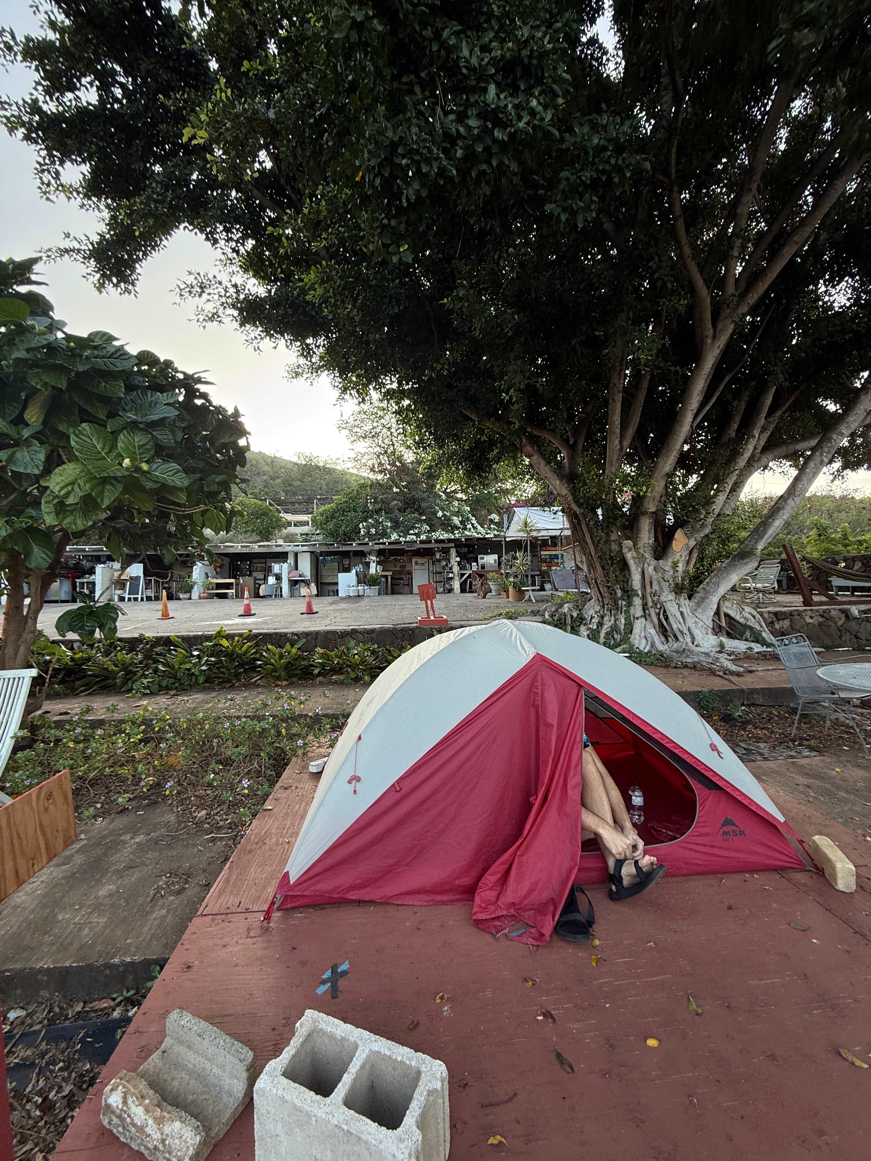 Sun Farm Hawaii @ Koko Head