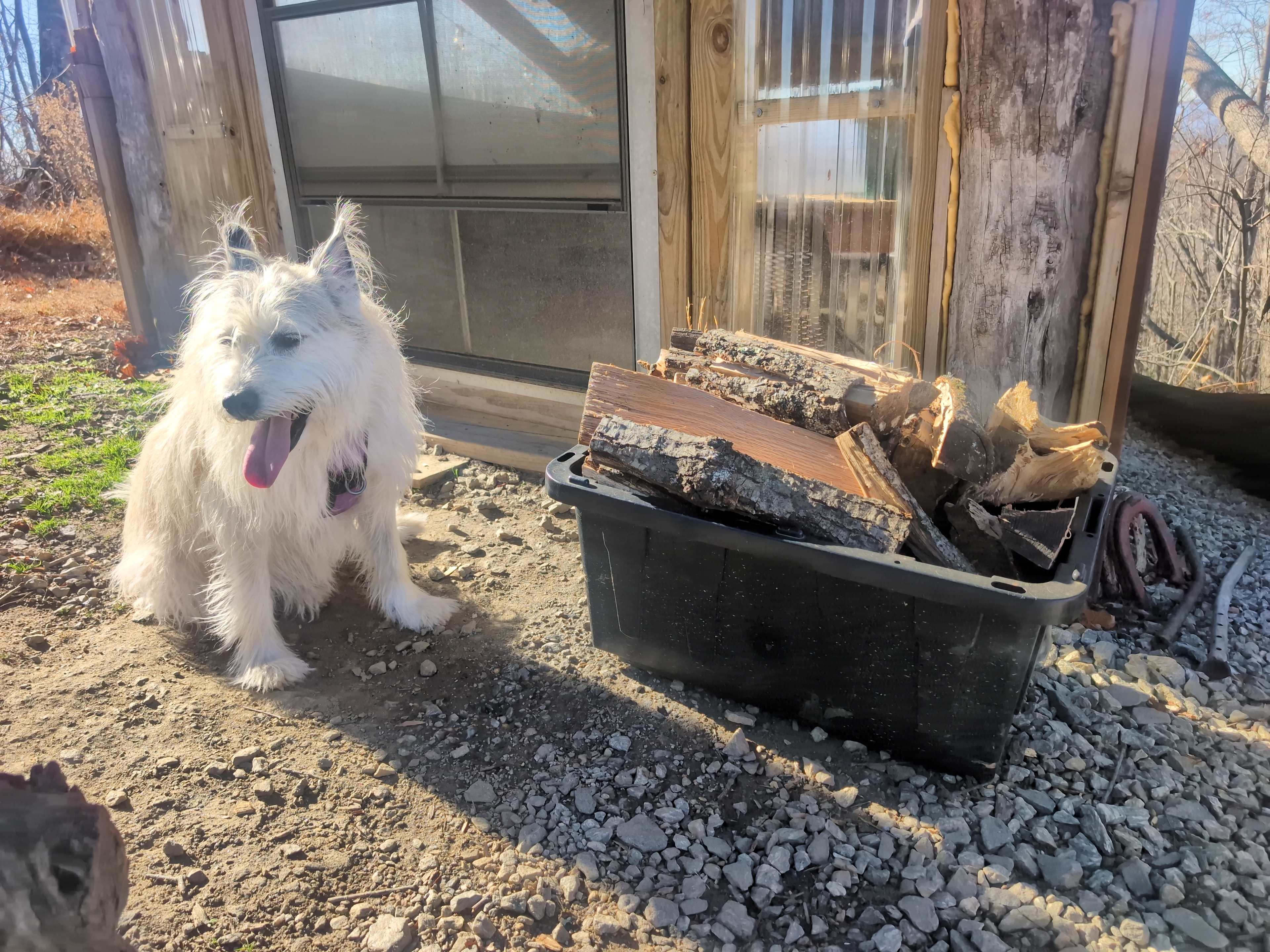 Barnhill Mountain in Fletcher, NC
