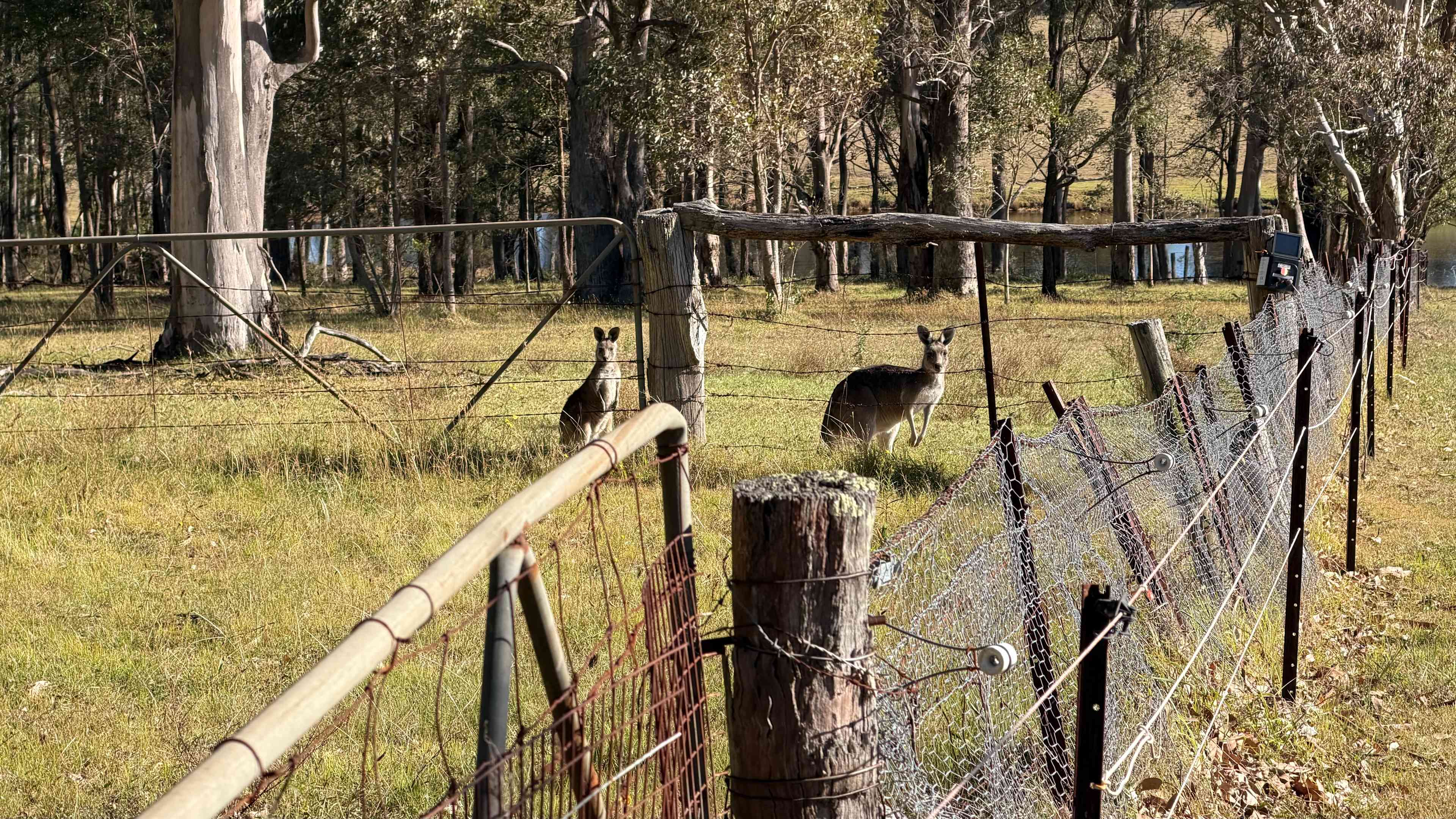 Melon Green at Oakdale