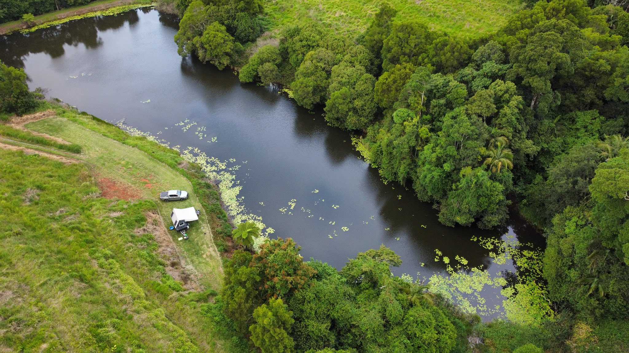 Tremayne - The Old Avocado Farm