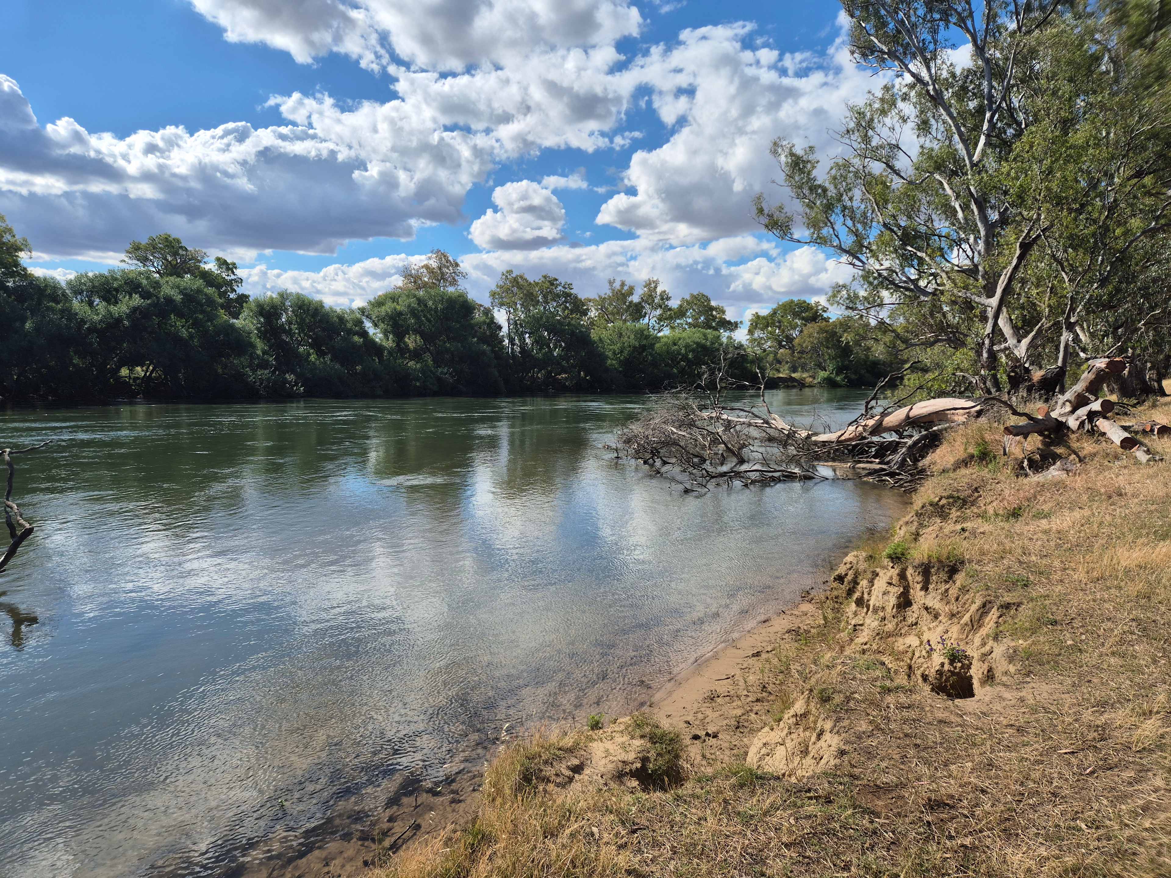 Rolling Hills & Riverside Camping