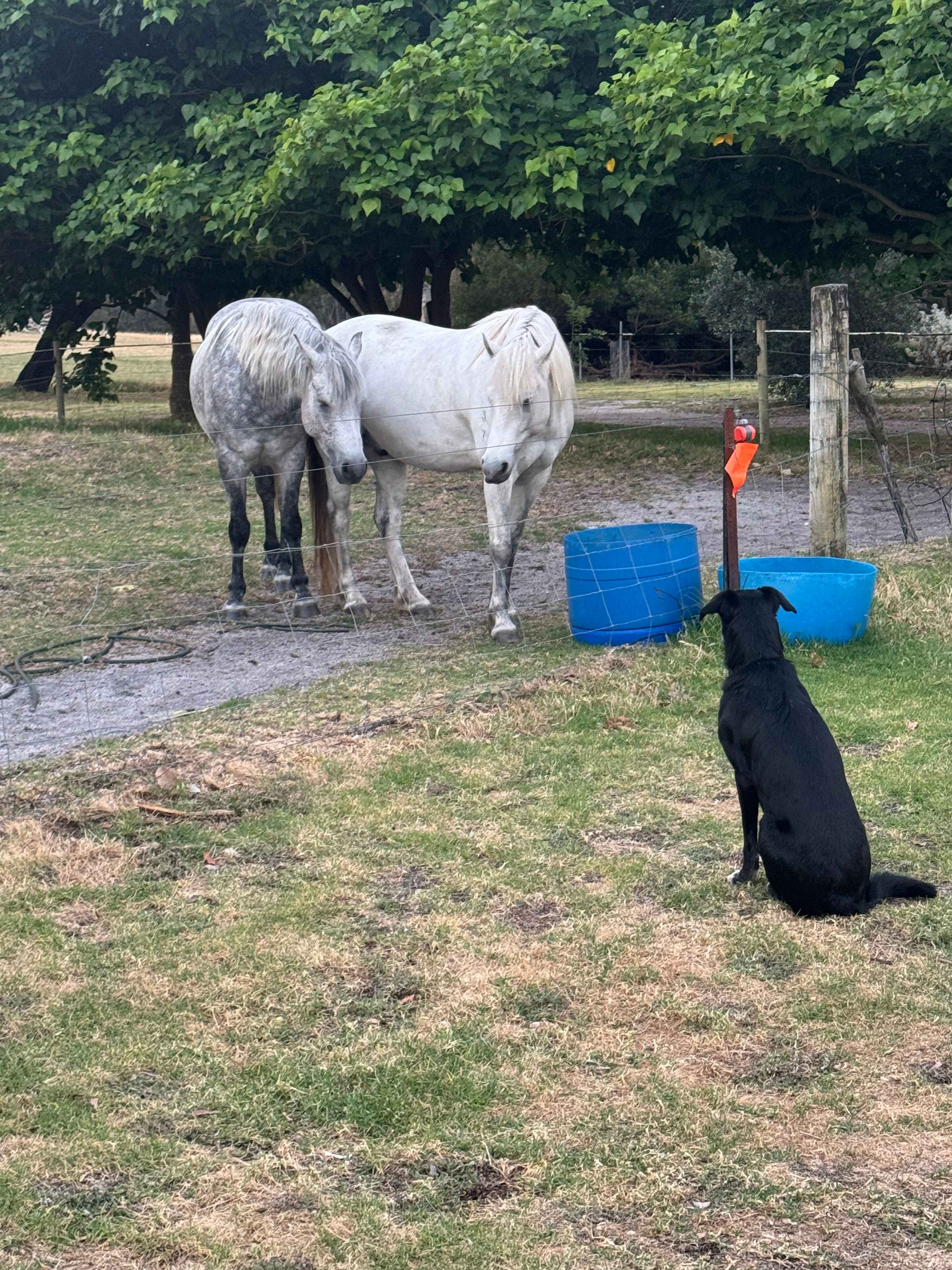 Fair Harvest Retreat Margaret River