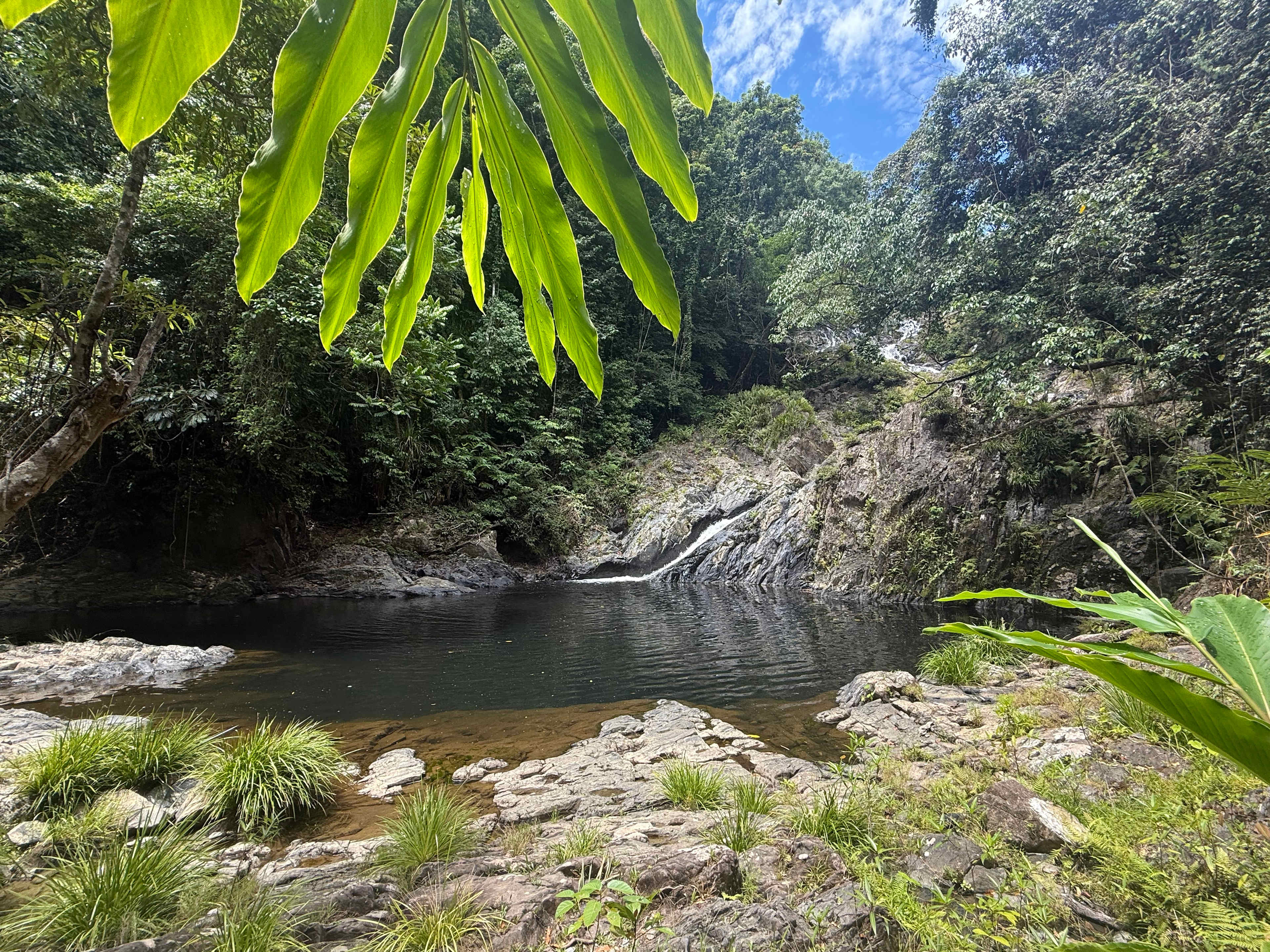 Beauty Spot Valley Organic Farmstay