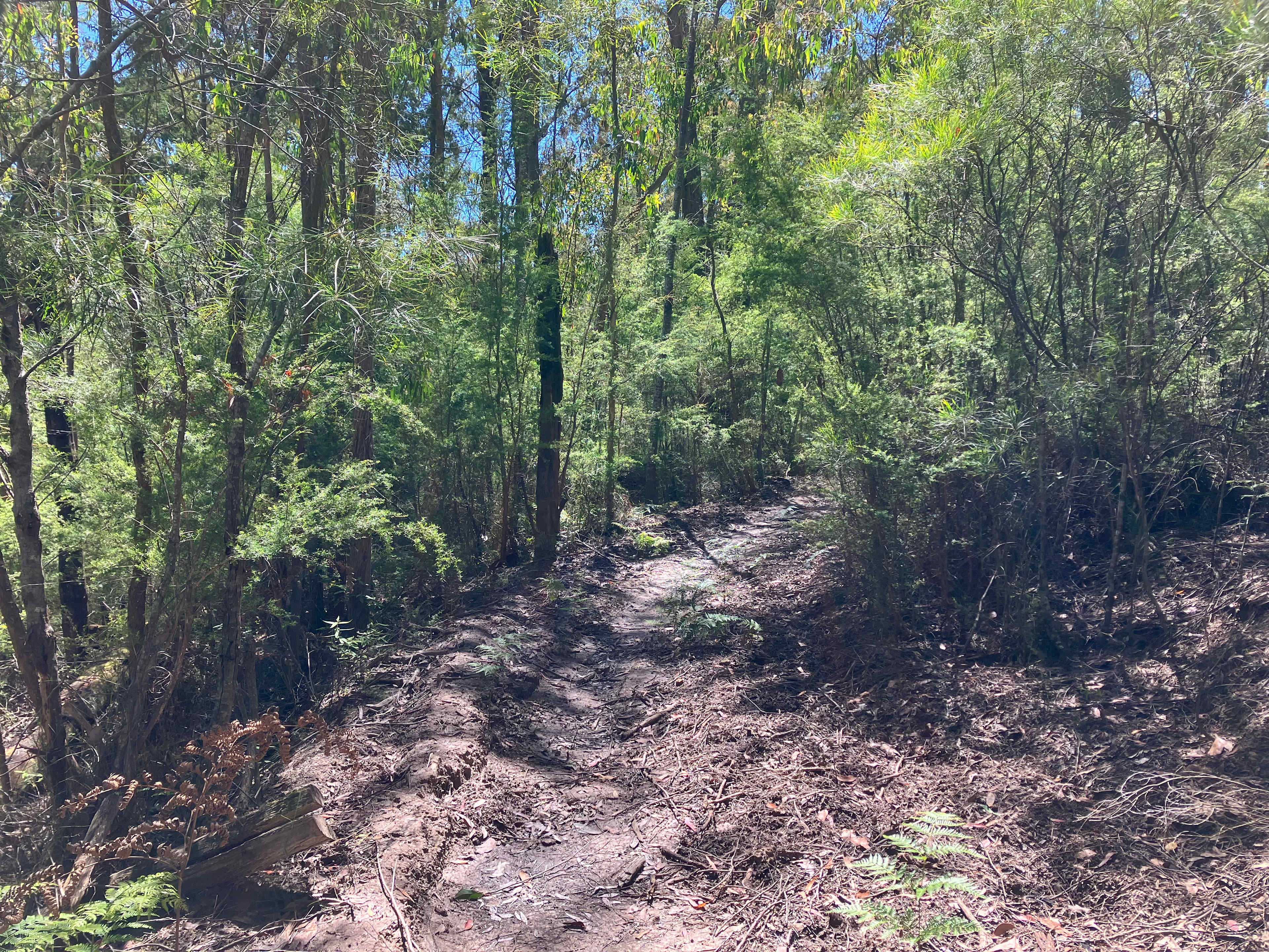 Hazelnut Valley Farm Stay