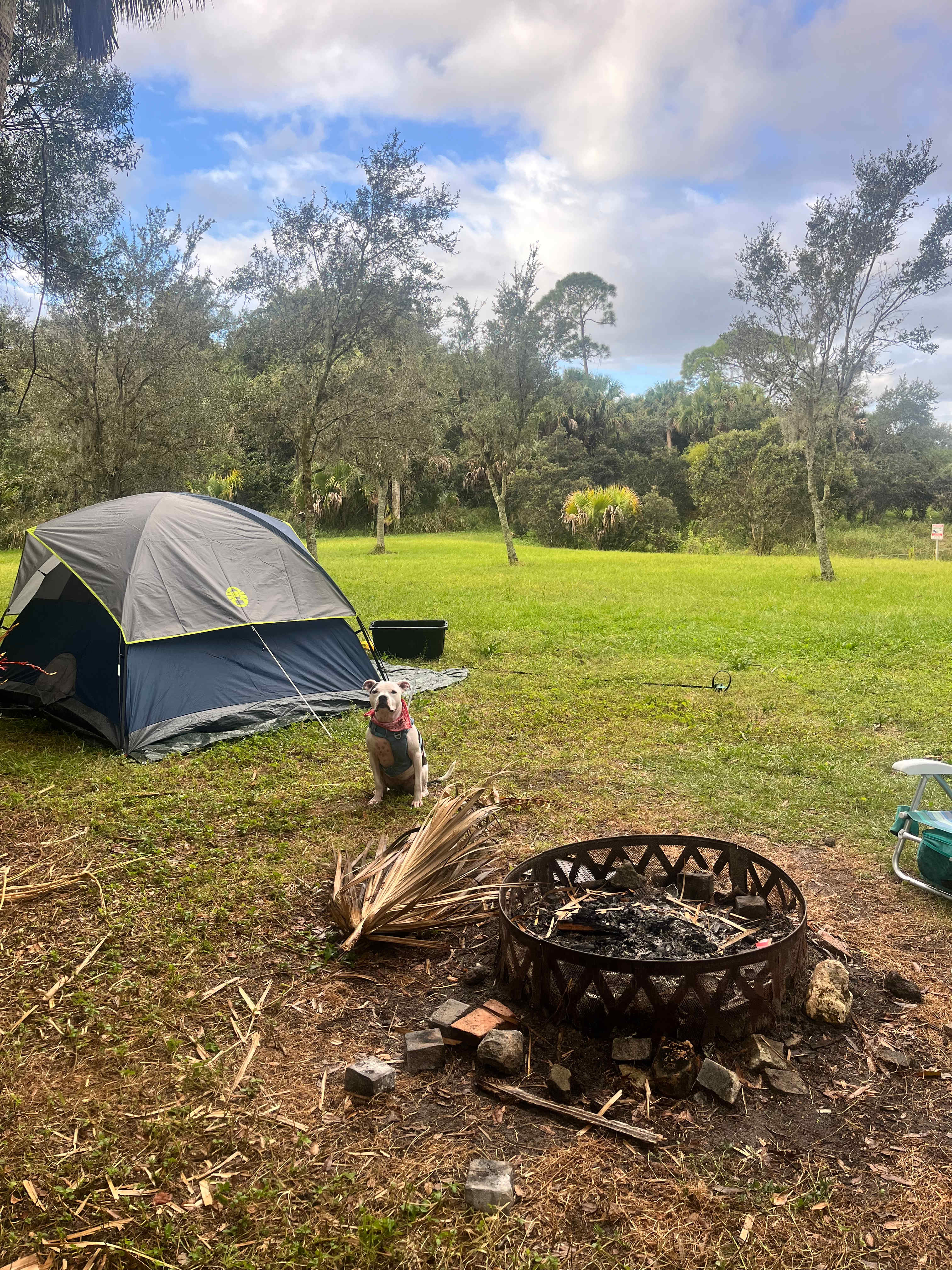 Taste of Old Florida