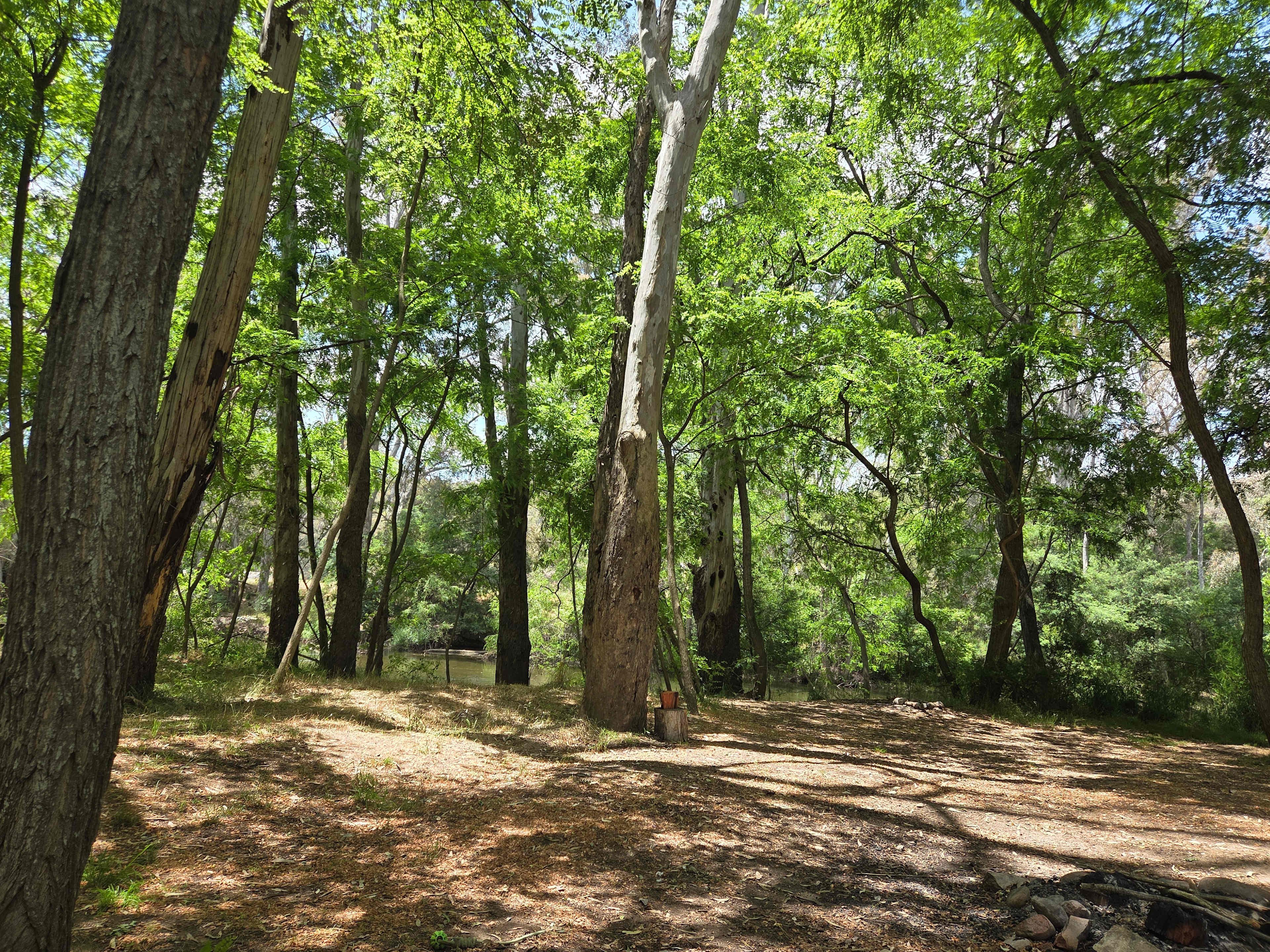 Riverside King Valley