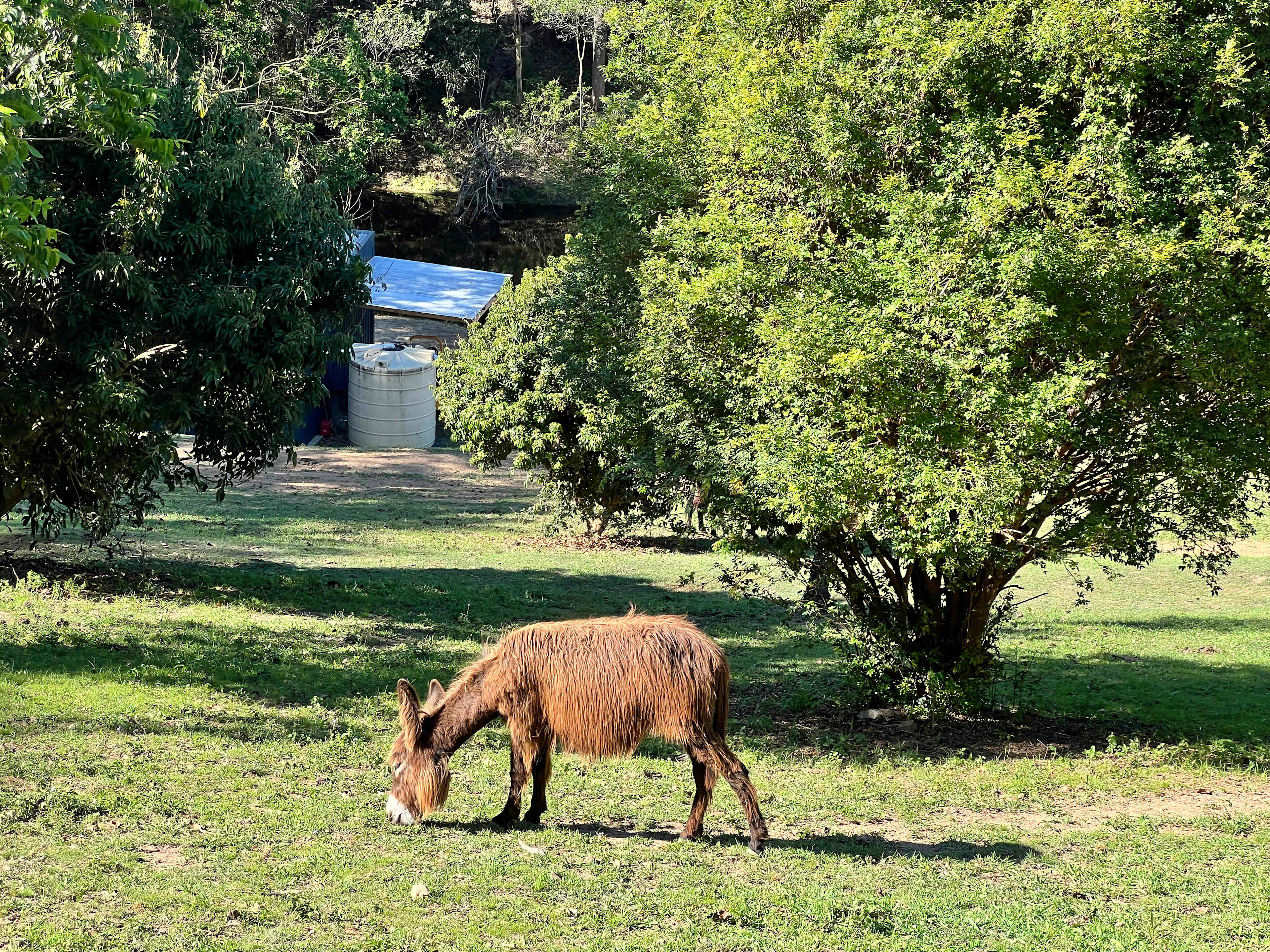 Shanlyn Farm • Breathe & Reconnect