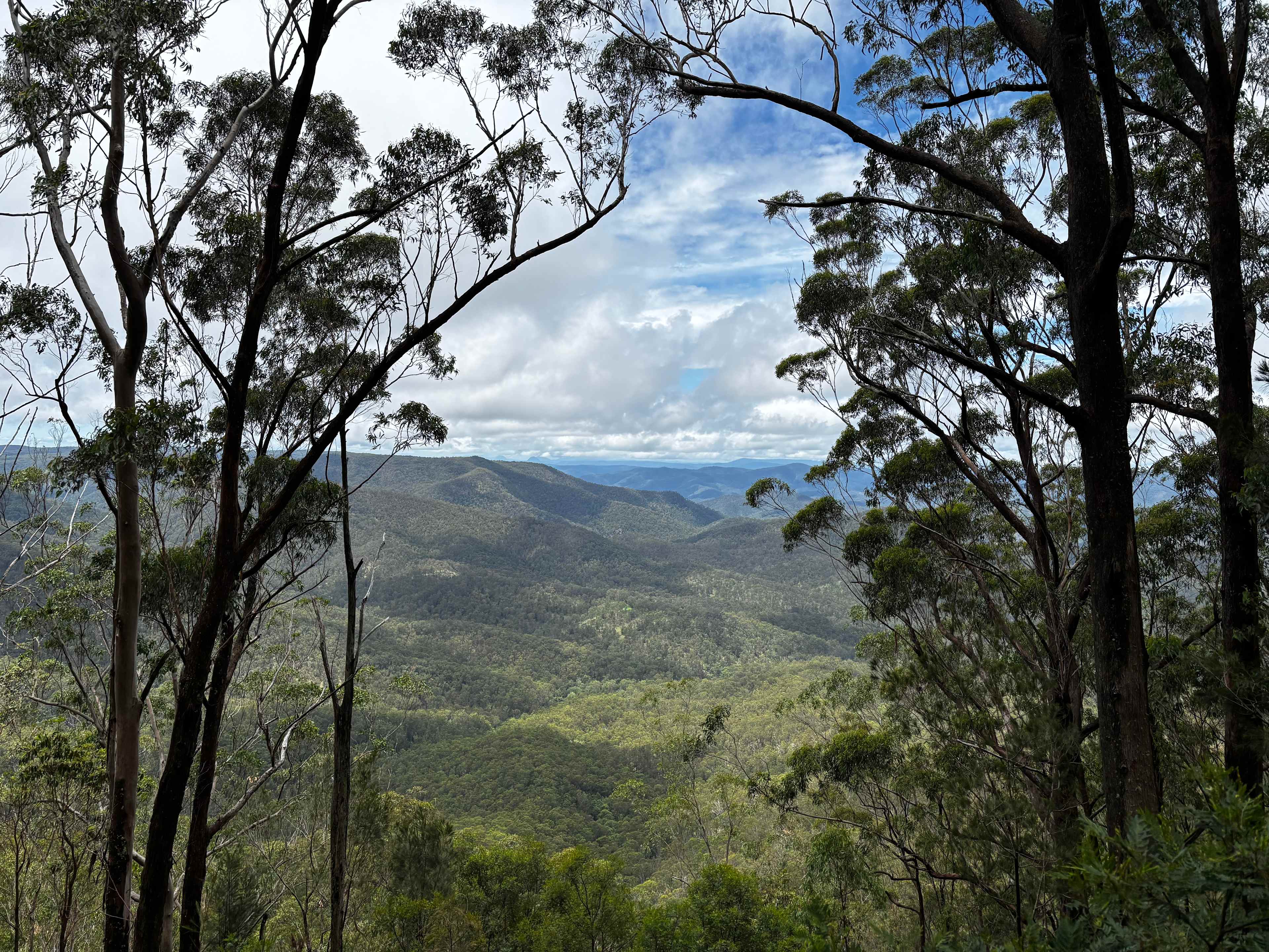 Stonepine Ridge 'where eagles fly'