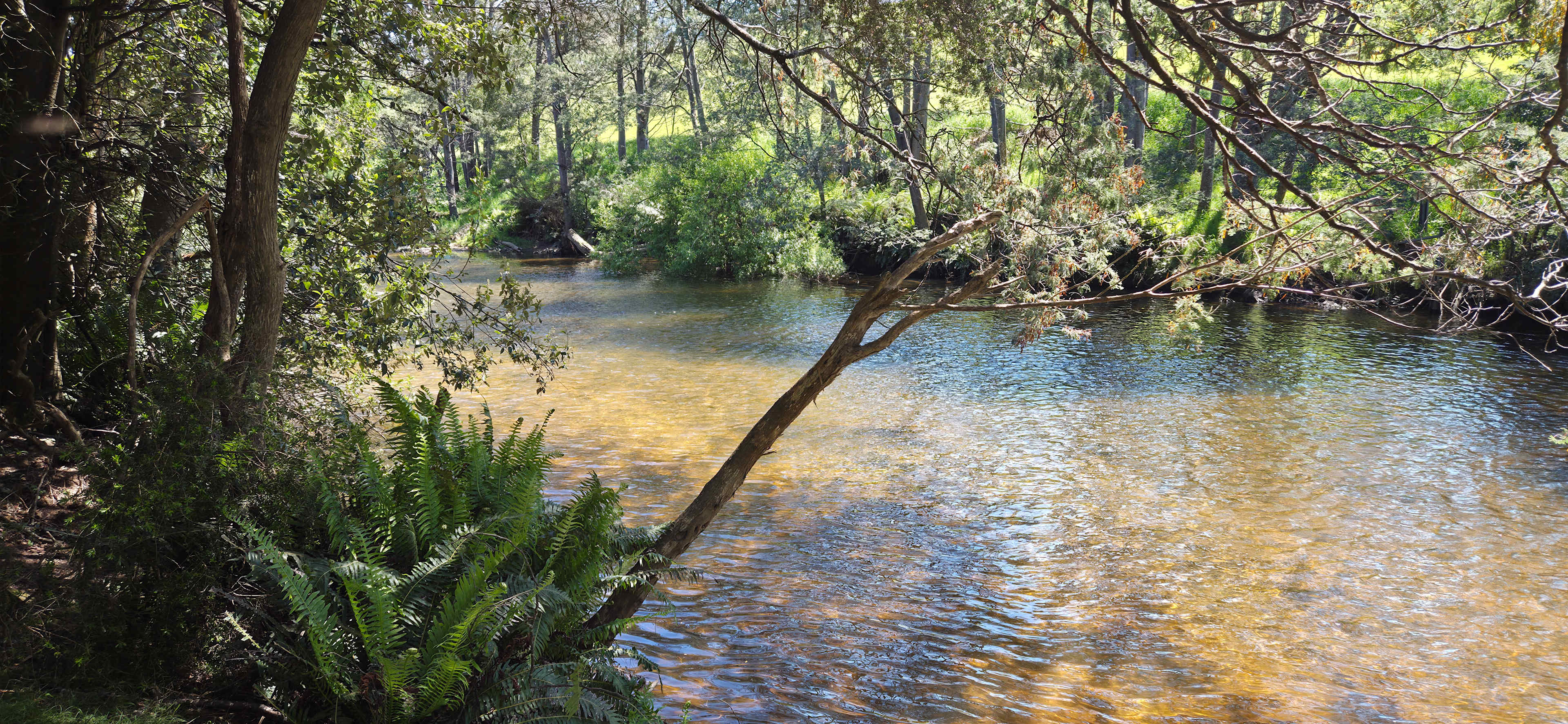 Dragon River Campground