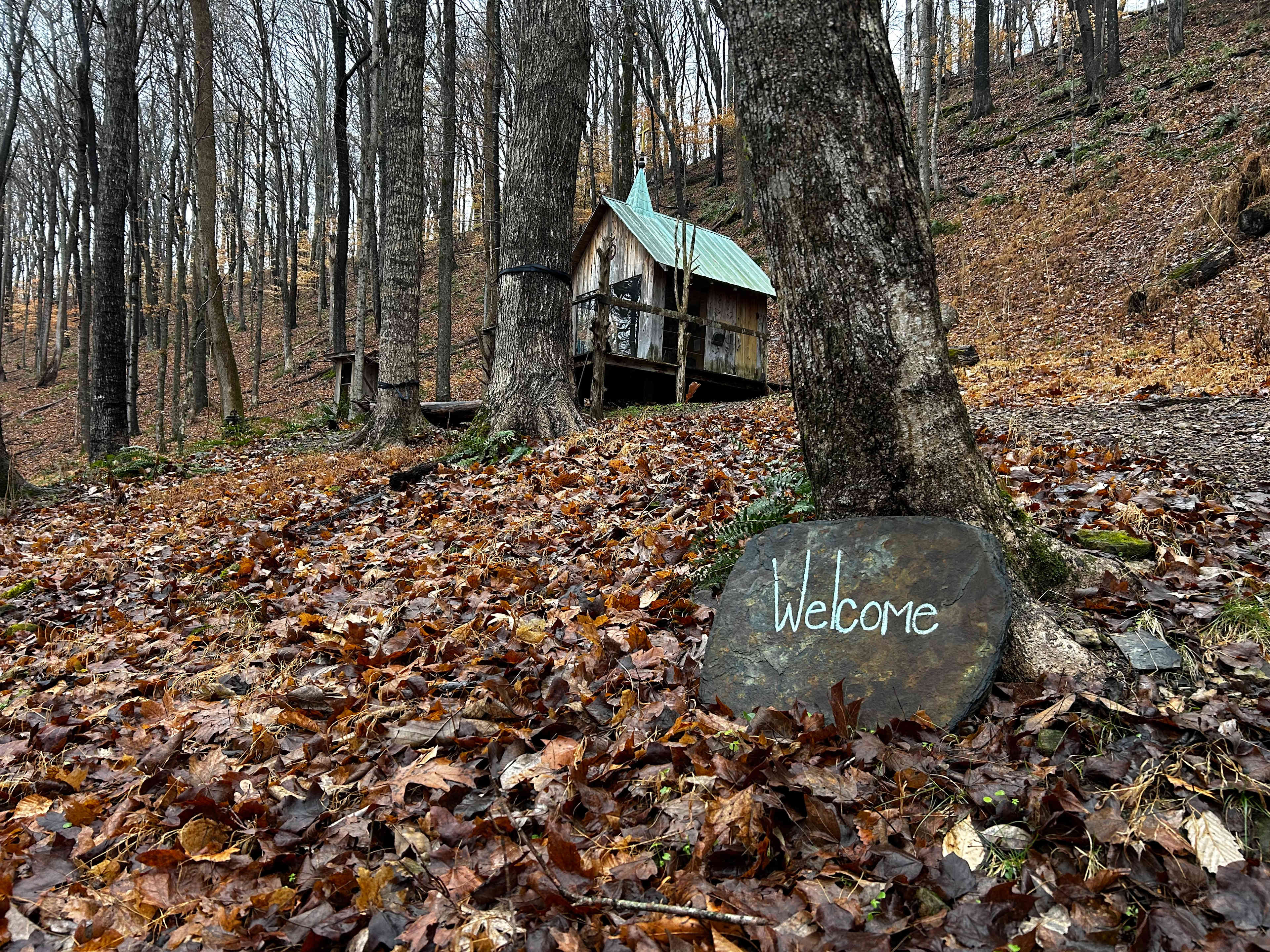 Beech Hollow Hideout