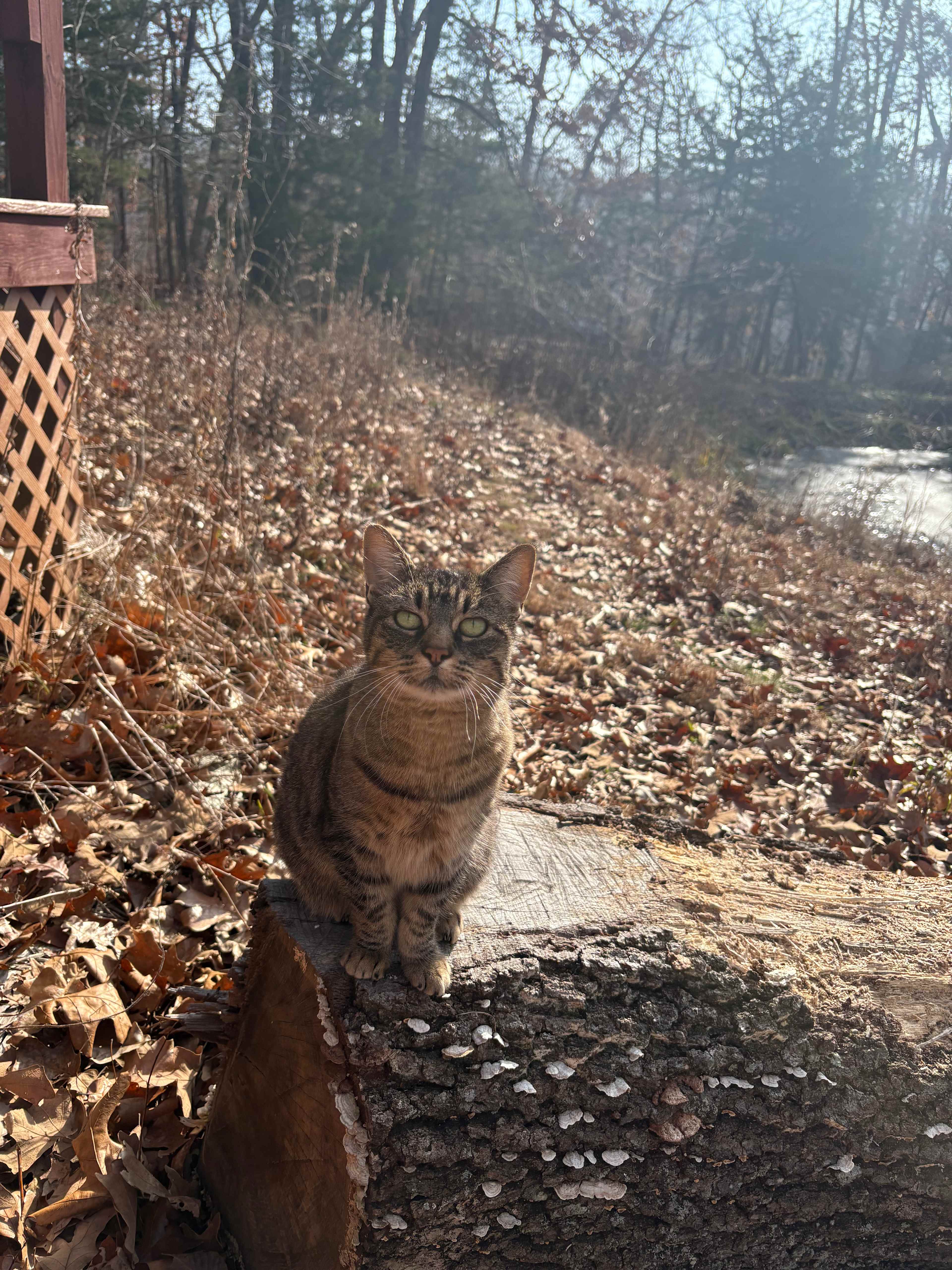 Retreat to the Country