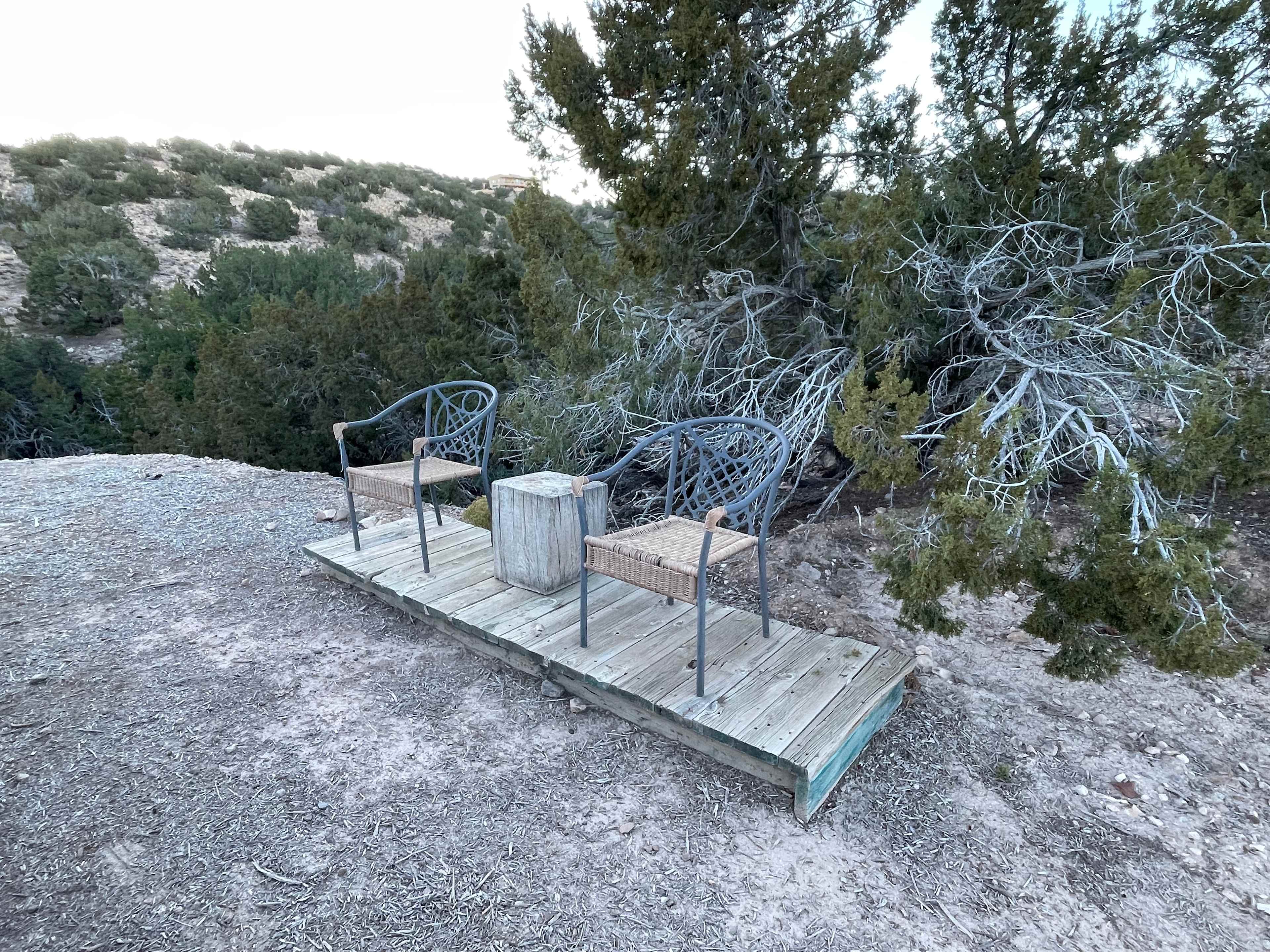 Tierra del RavenTree