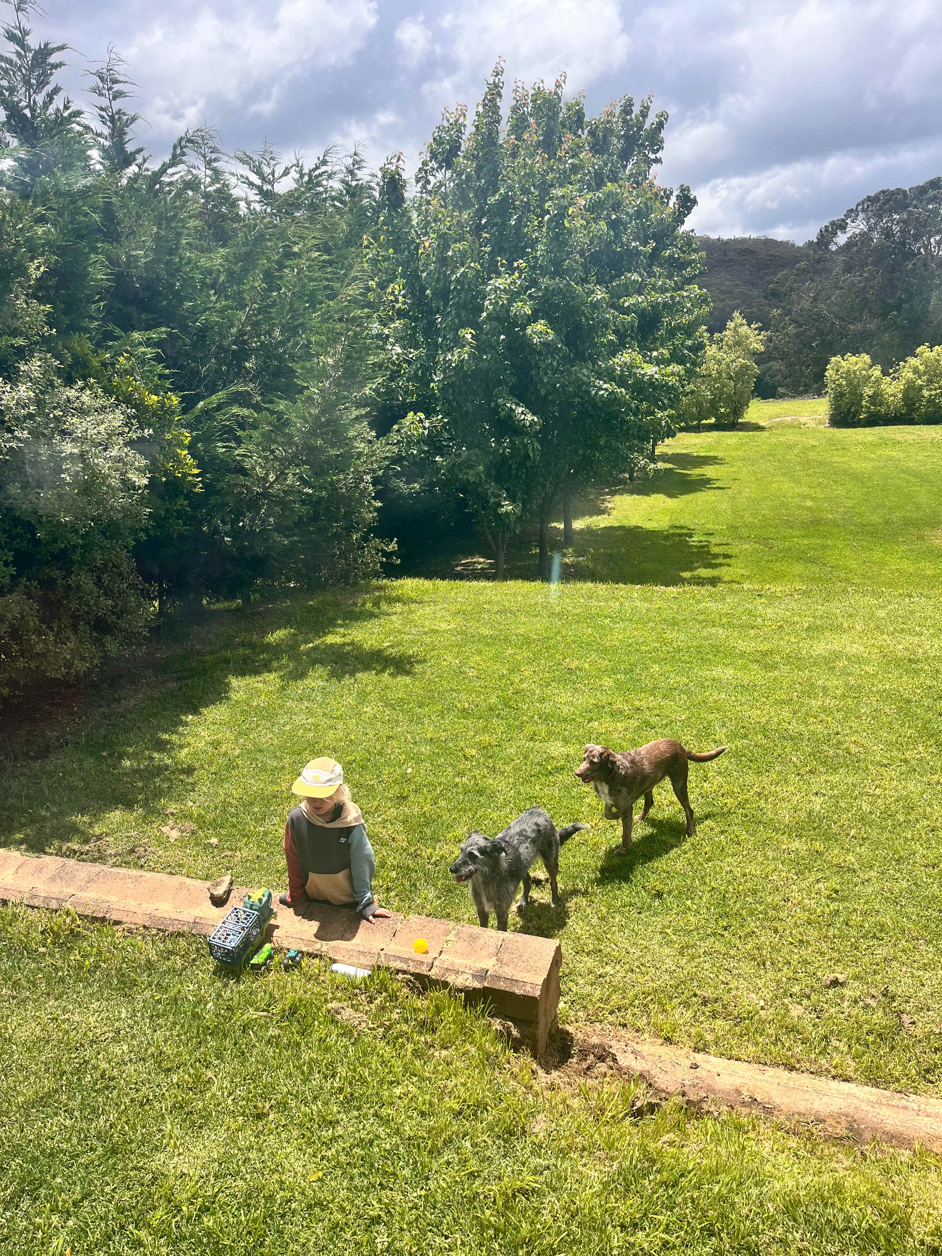 Stone’s Summertown Cherry Farm