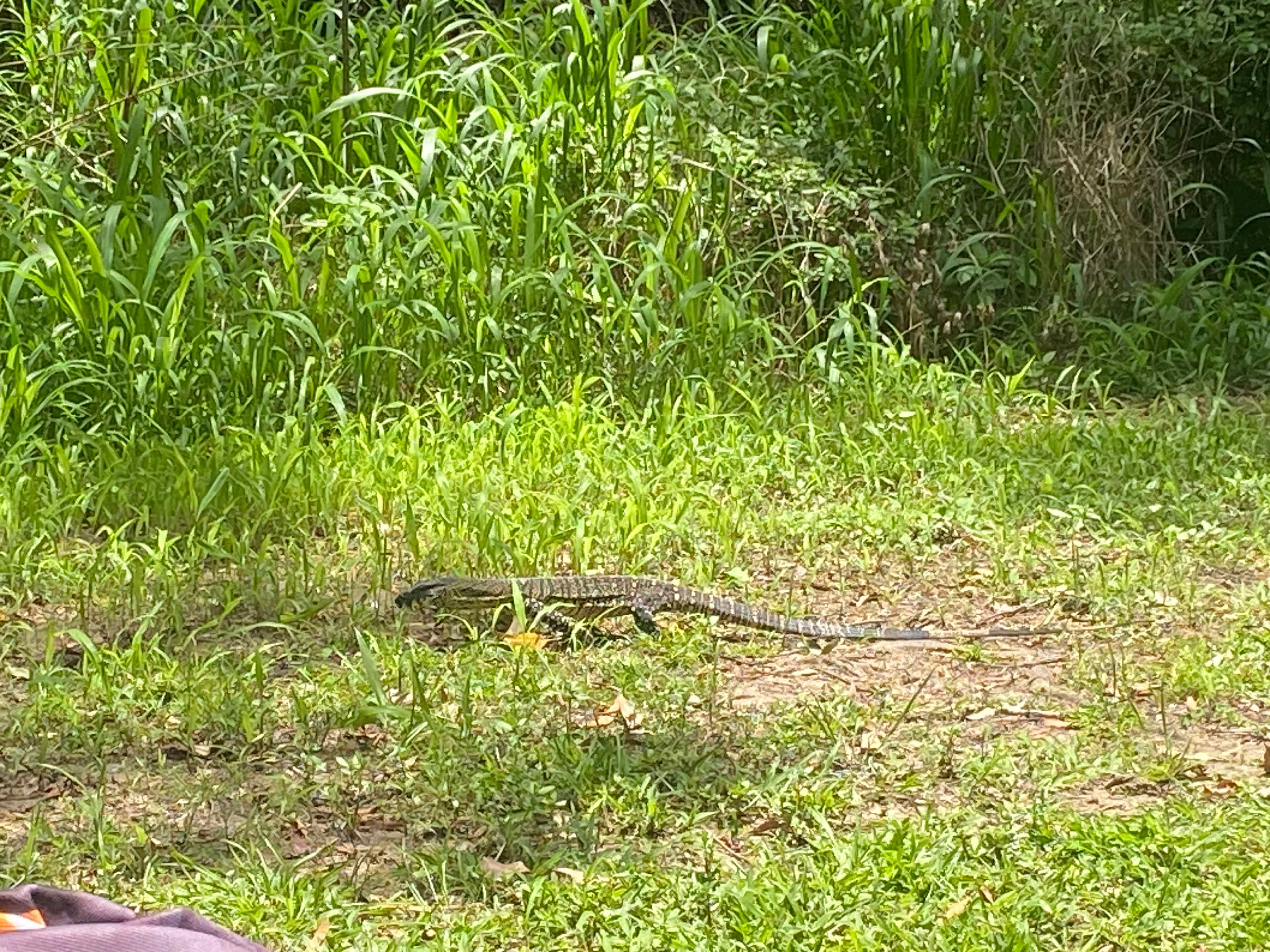 Browns Creek Camping