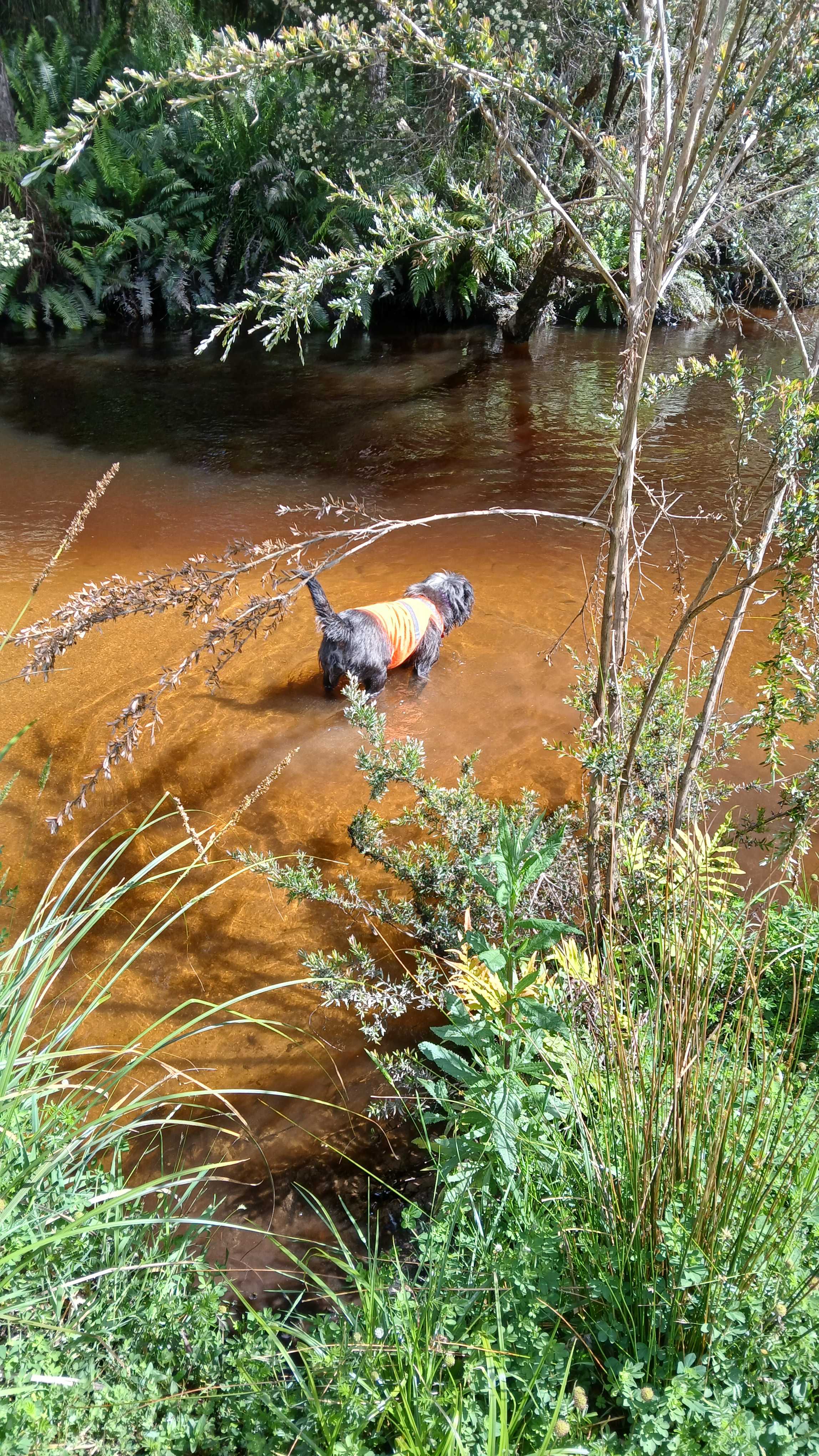 Organic Farm & Riverside Camping