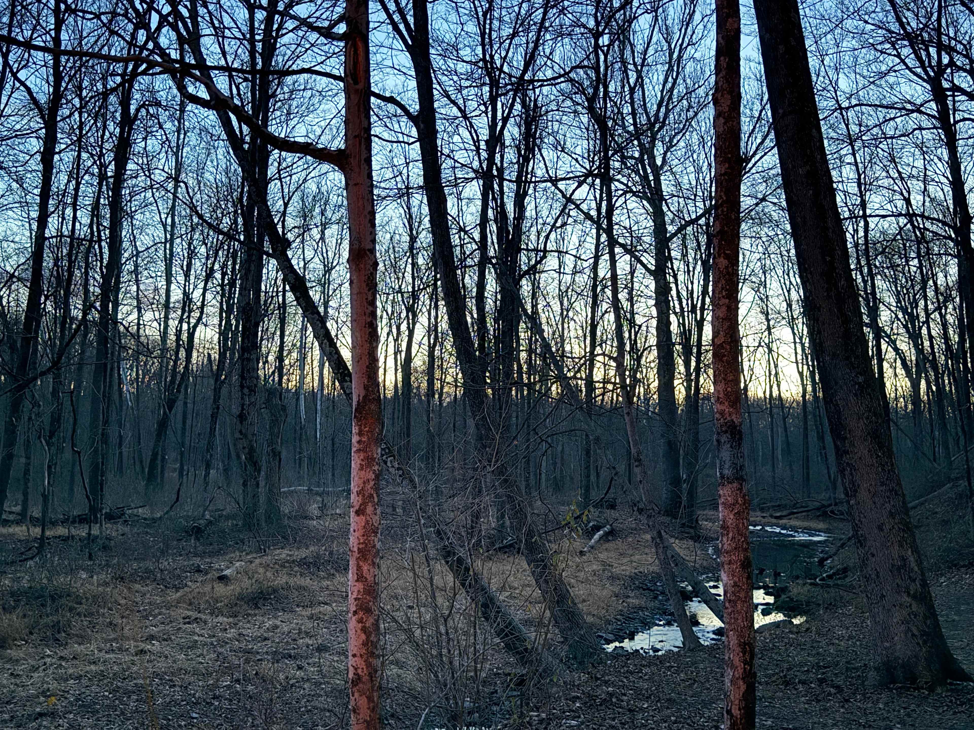 Grampy's Red Rock Rabbit Ranch