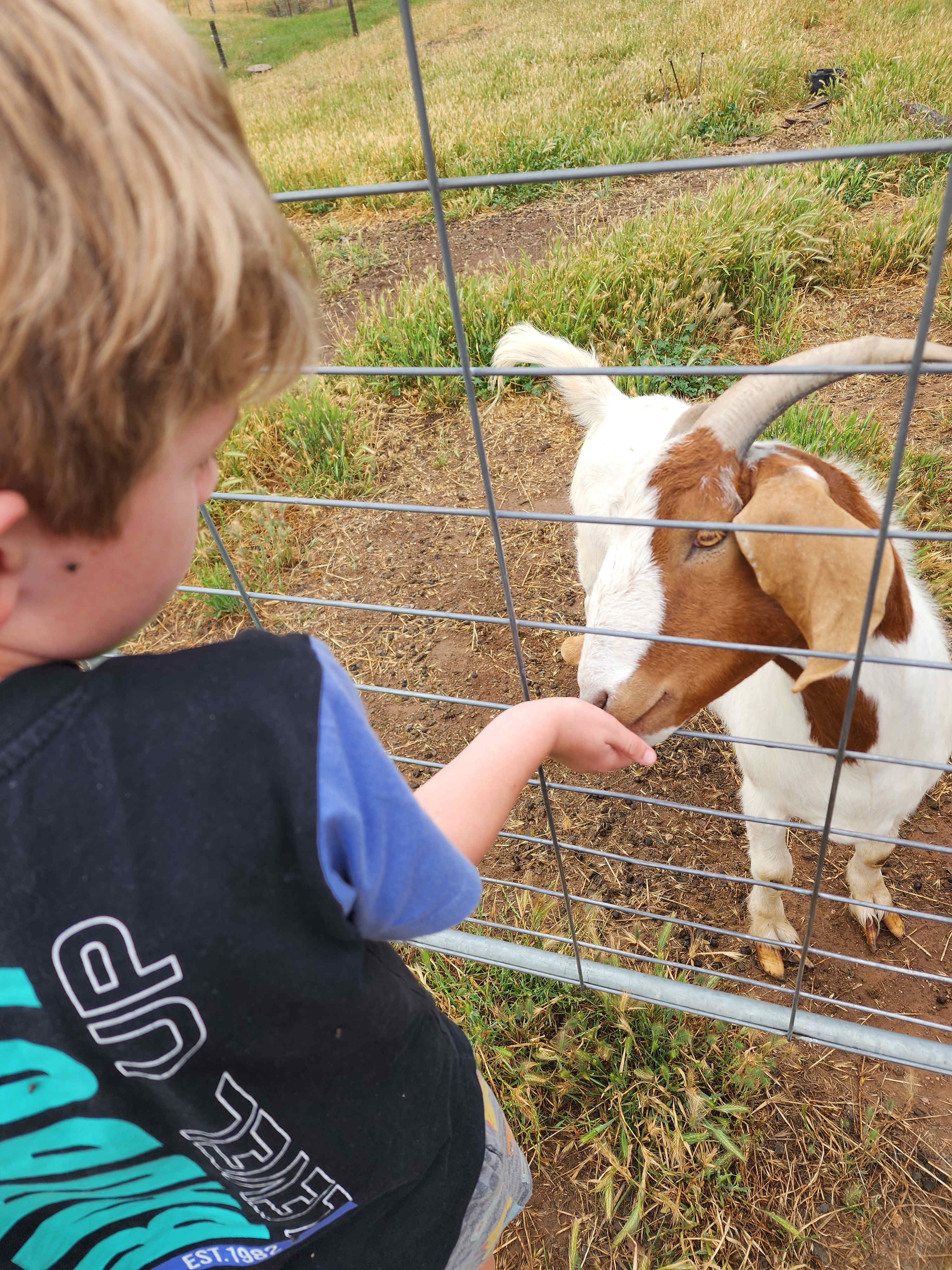 Nillawarre Farm Stay