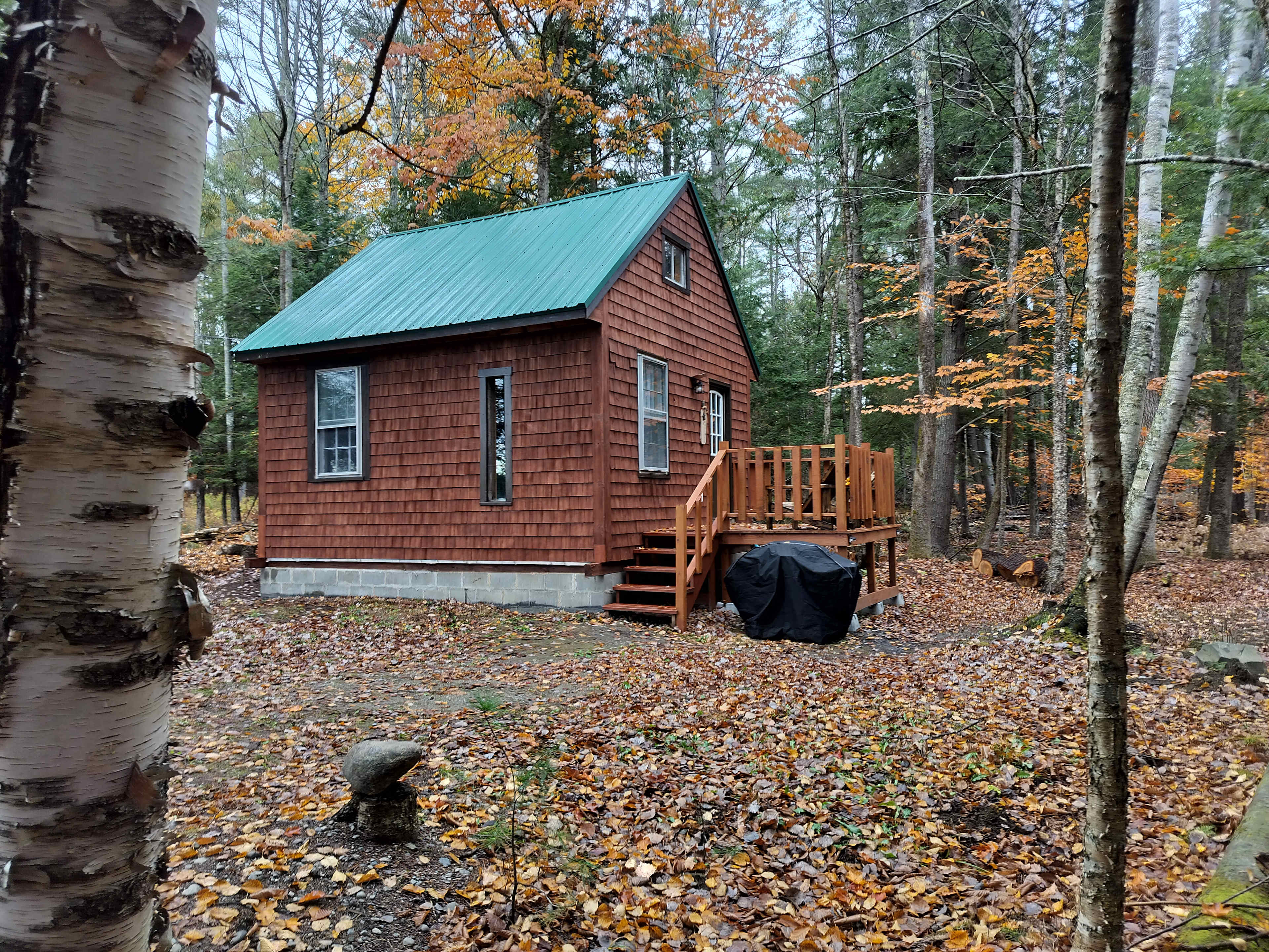 Tiny Tupper Recovery Cabin