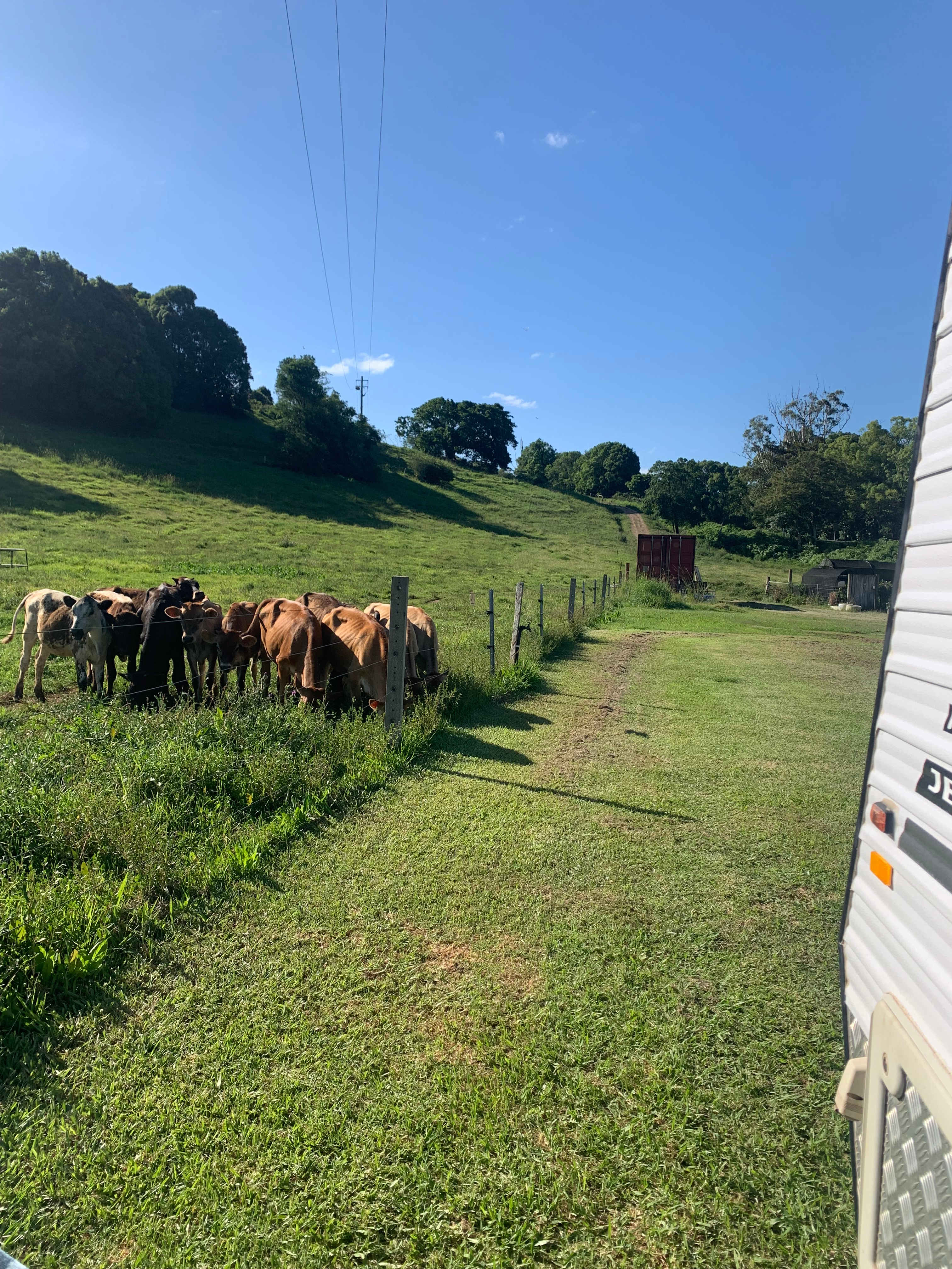 Tweed Valley Farmhouse Cheeses