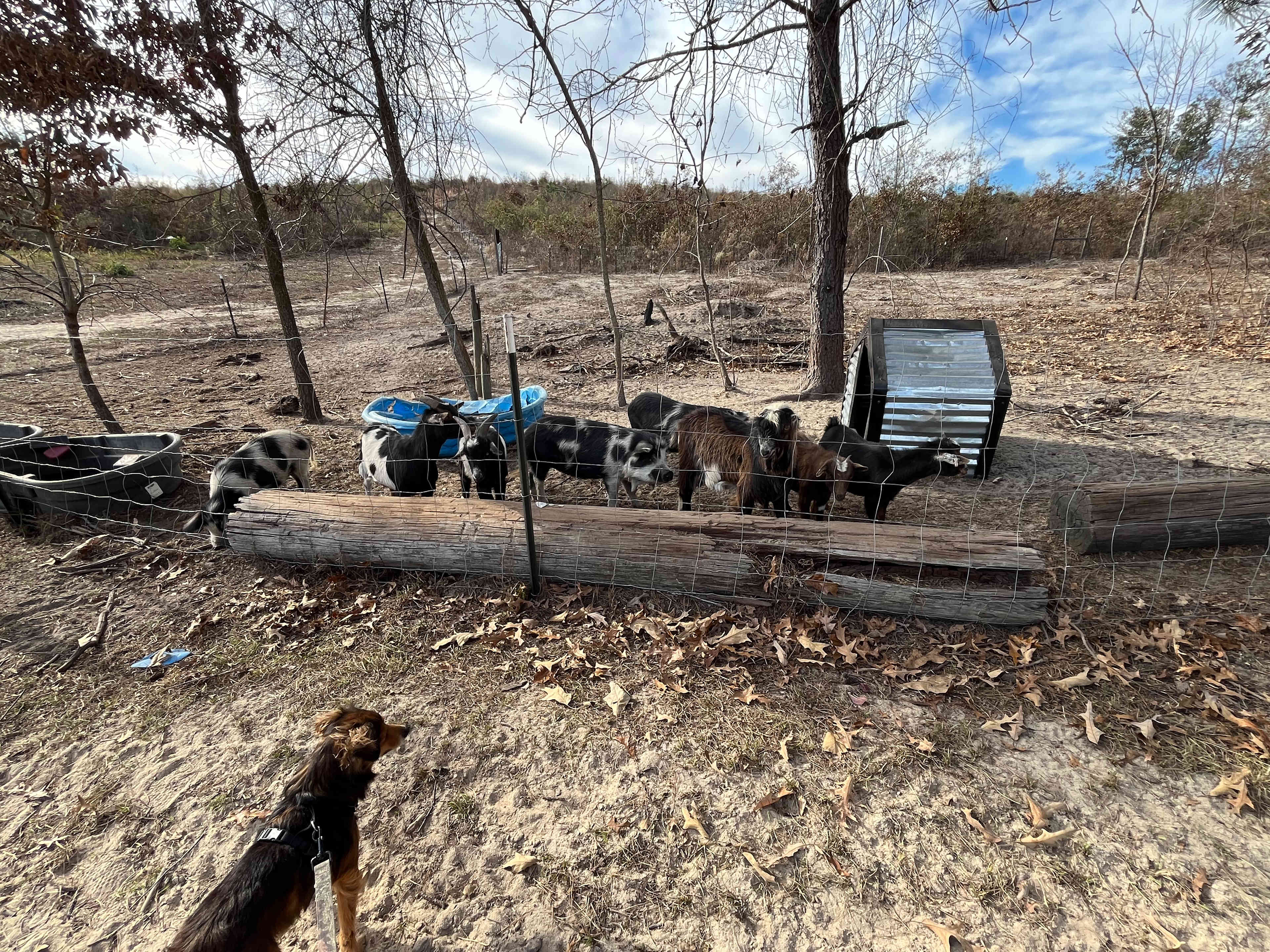 Piney Hills Campground