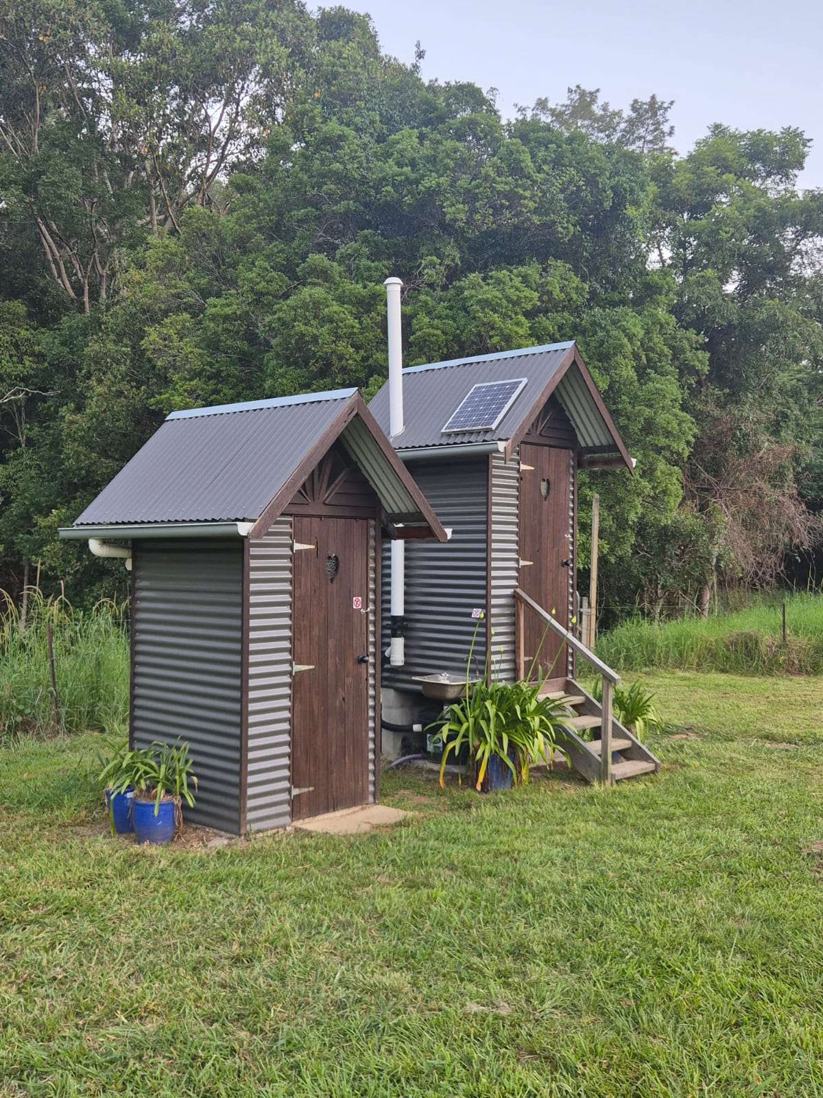 McKenzie Creek Campsite