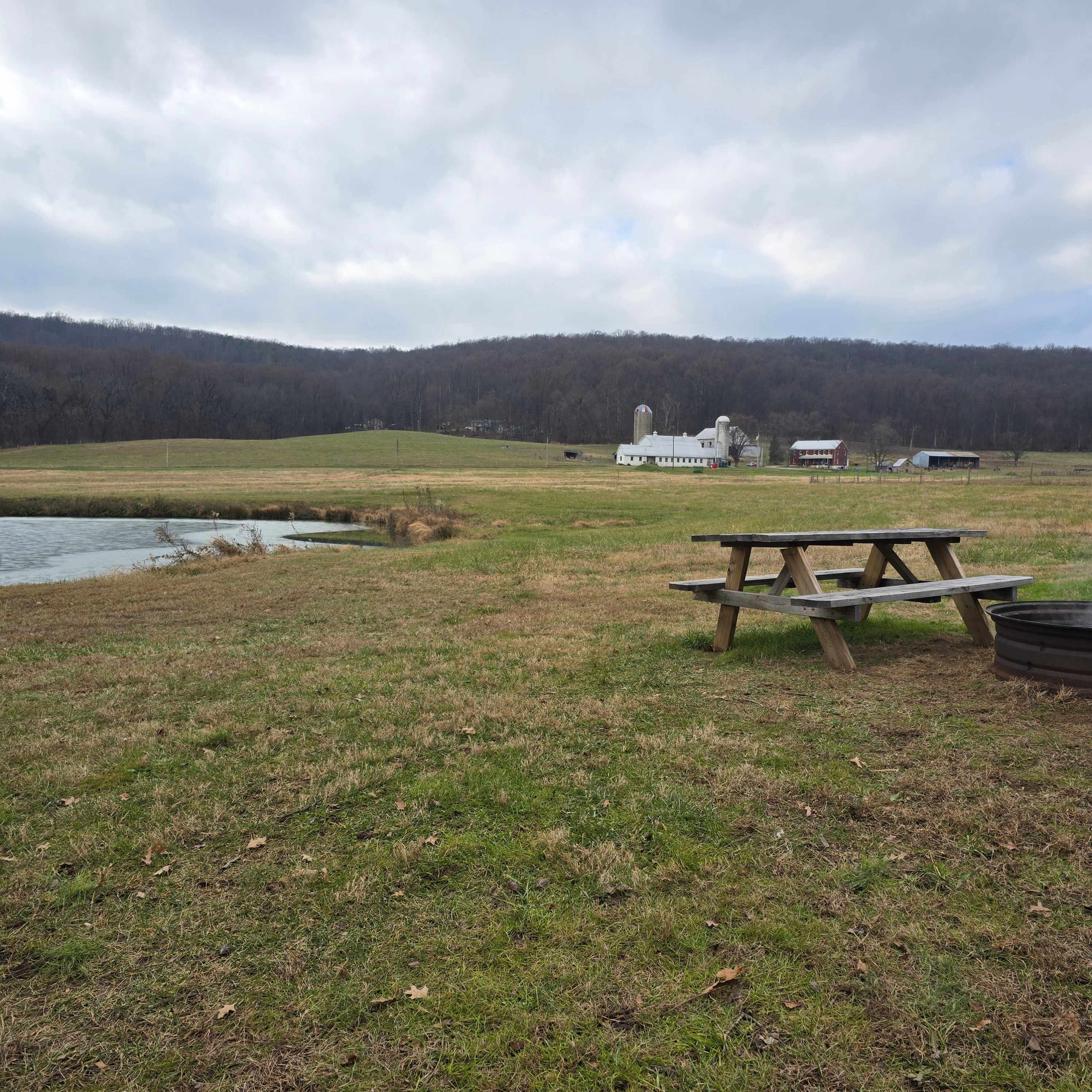 Happy Heart Highlands and Alpacas