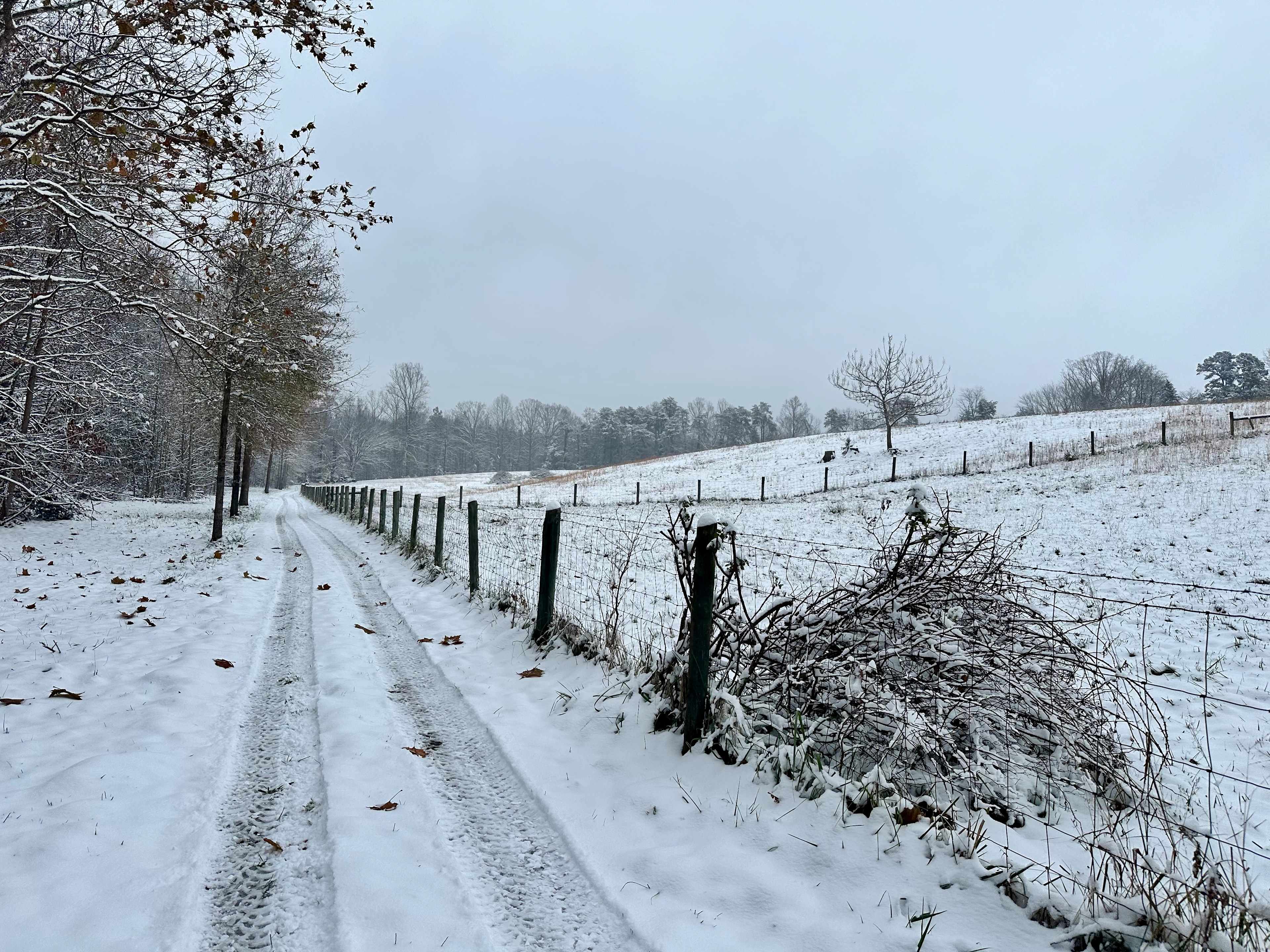 Twin Springs Tiny House