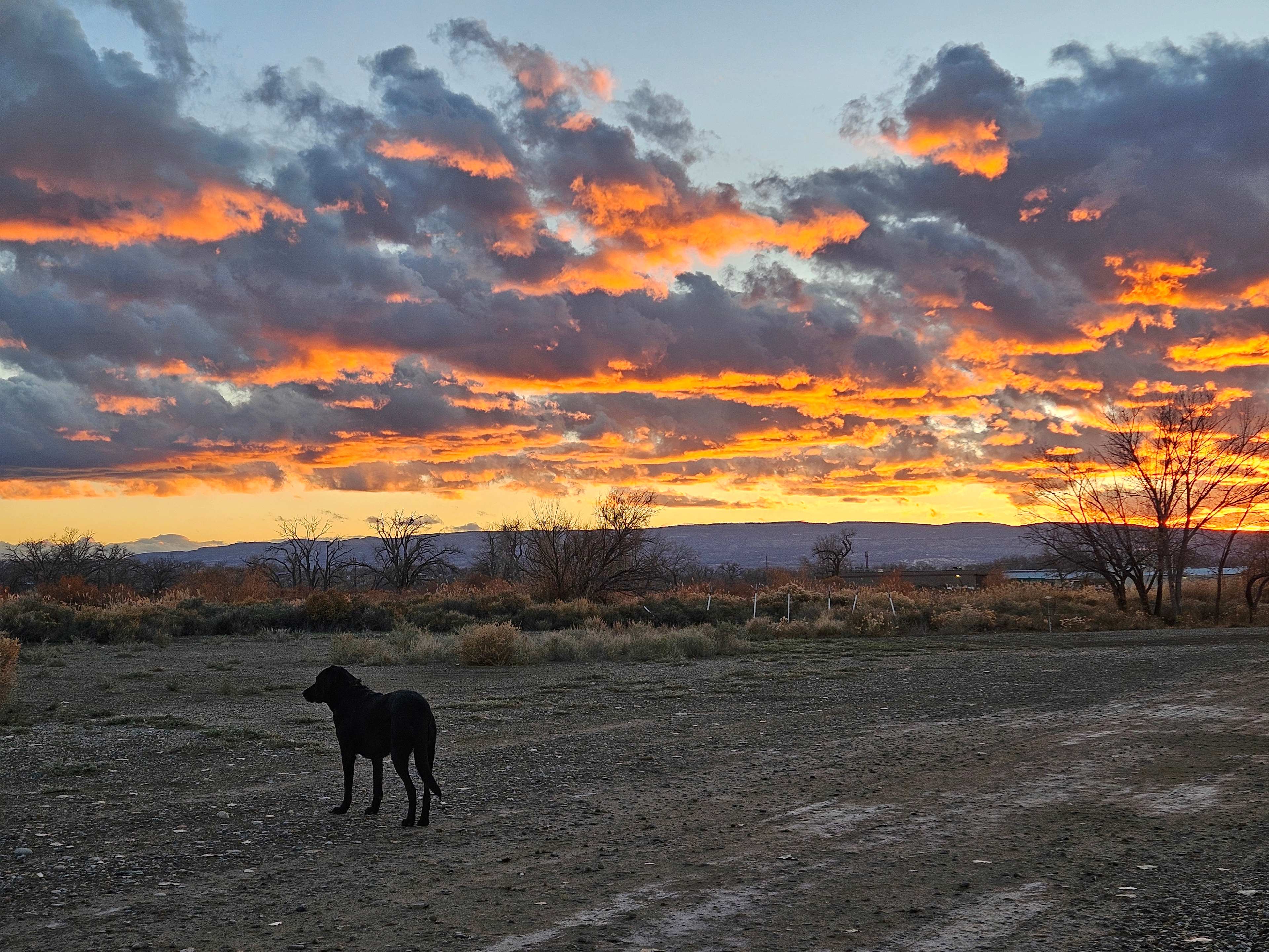 Lakeside Camping, Water Time :)