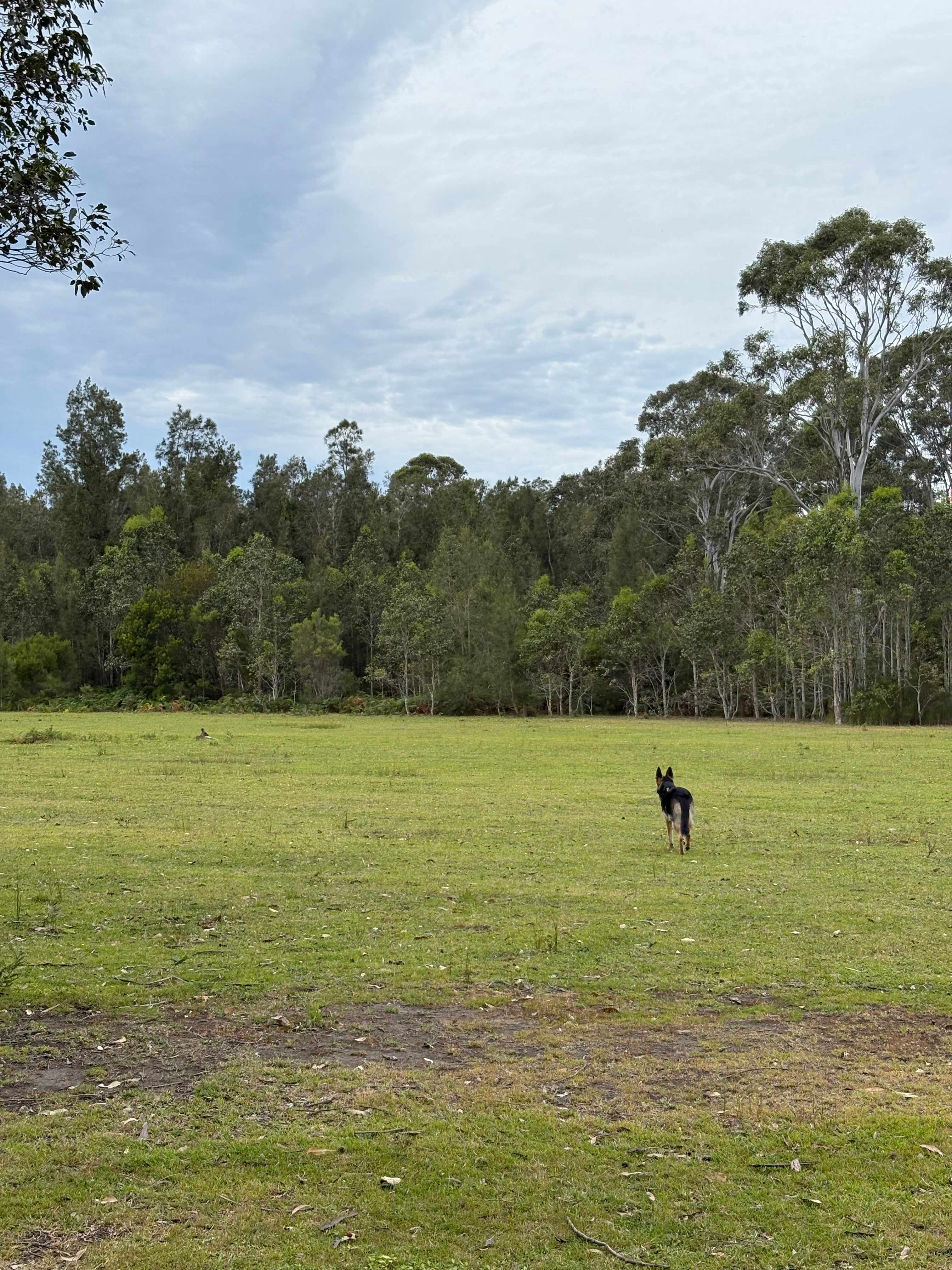 Babbling Brook 4WD Camping
